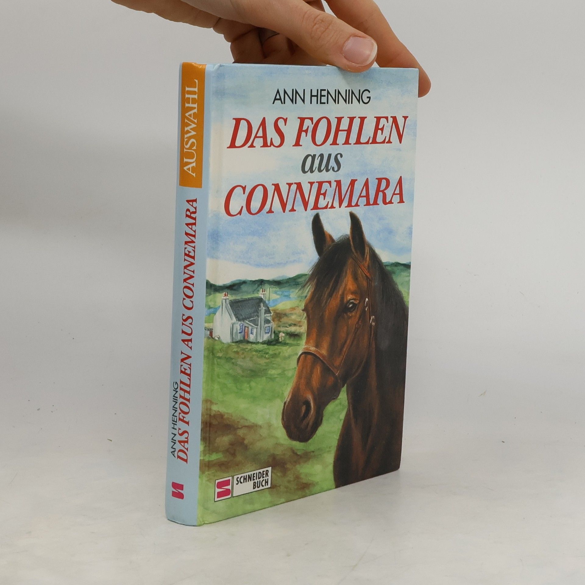 Ann Henning Das Fohlen aus Connemara