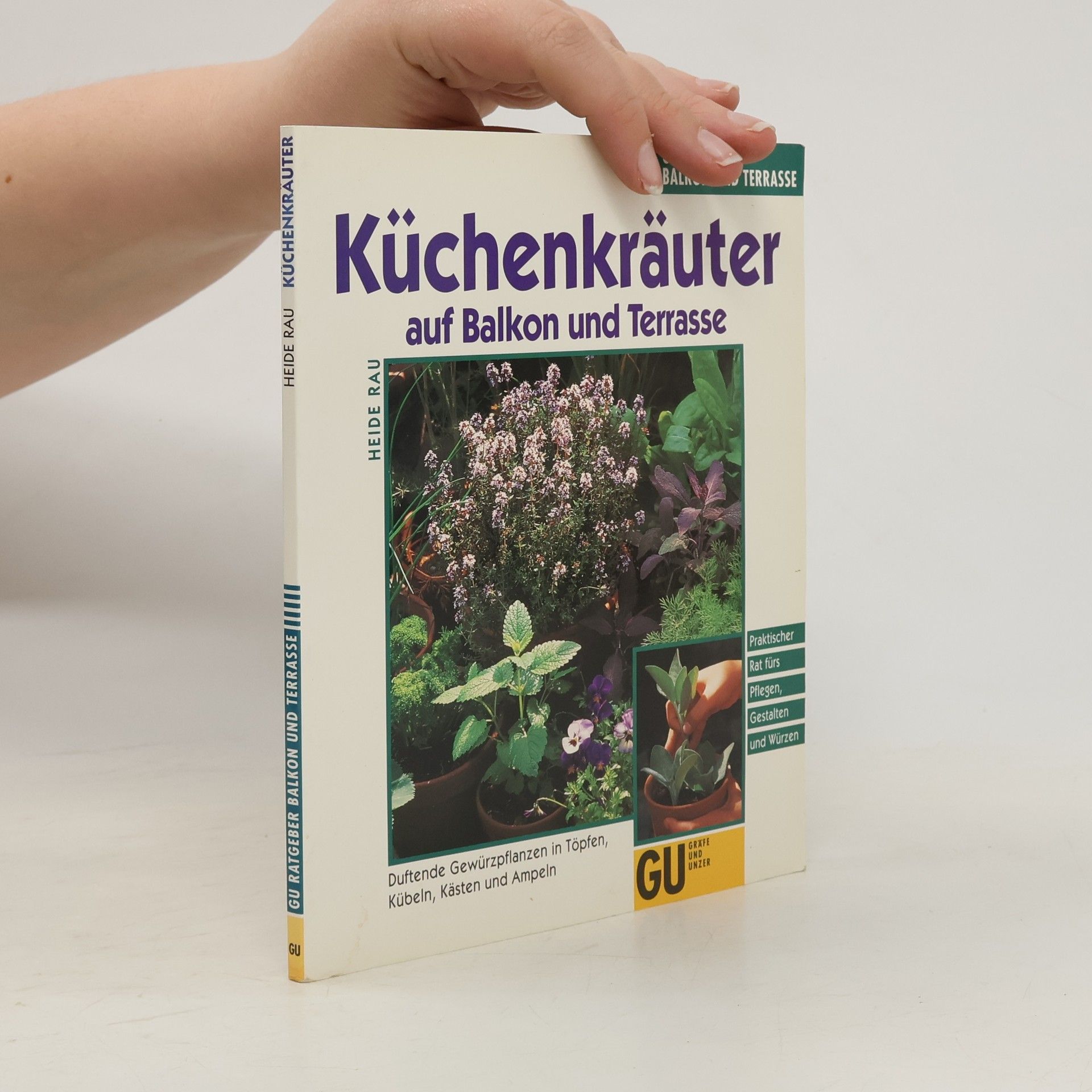 Heide Rau Küchenkräuter in Töpfen, Kübeln und Kästen