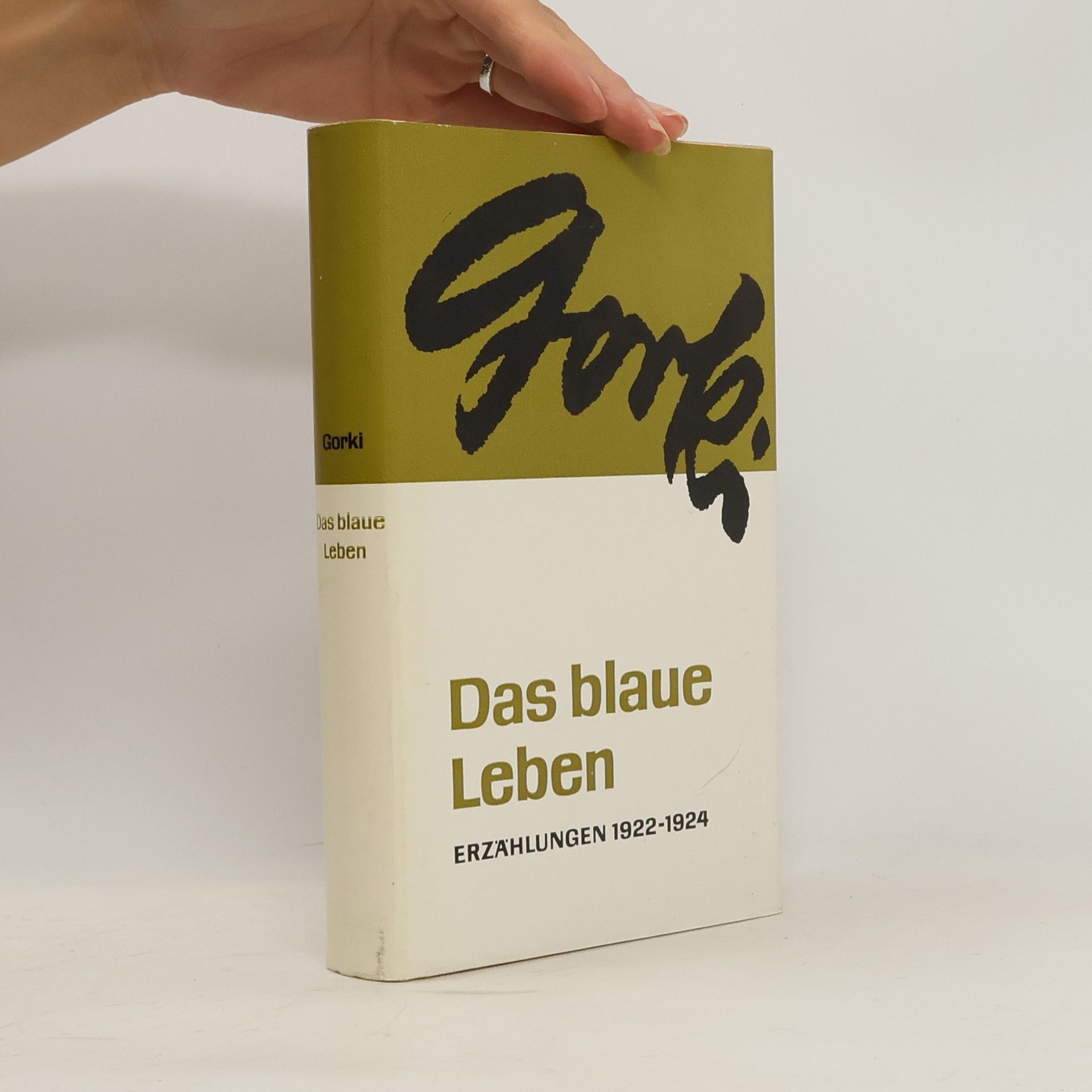 Maxim Gorkij Das blaue Leben