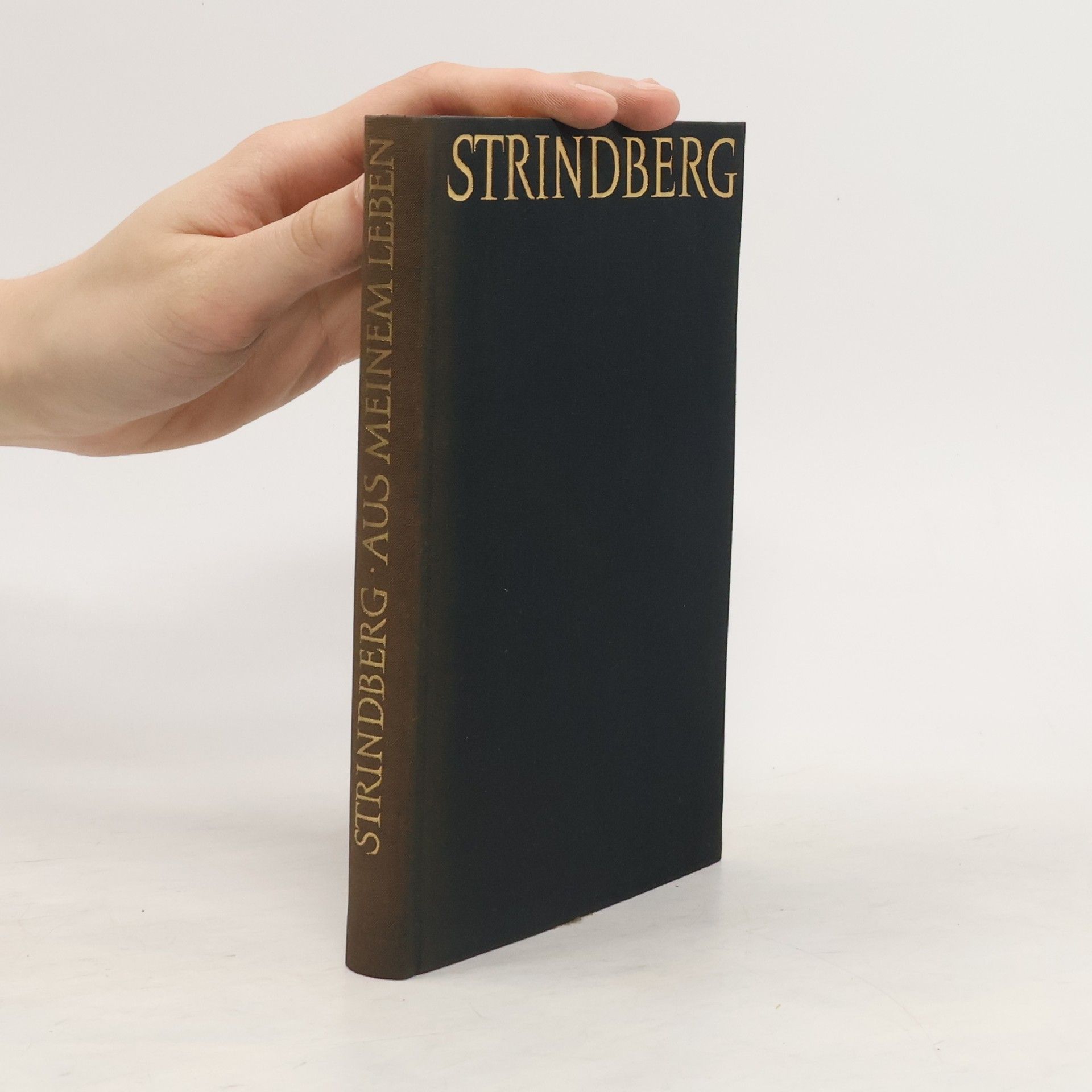 August Strindberg Aus meinem Leben