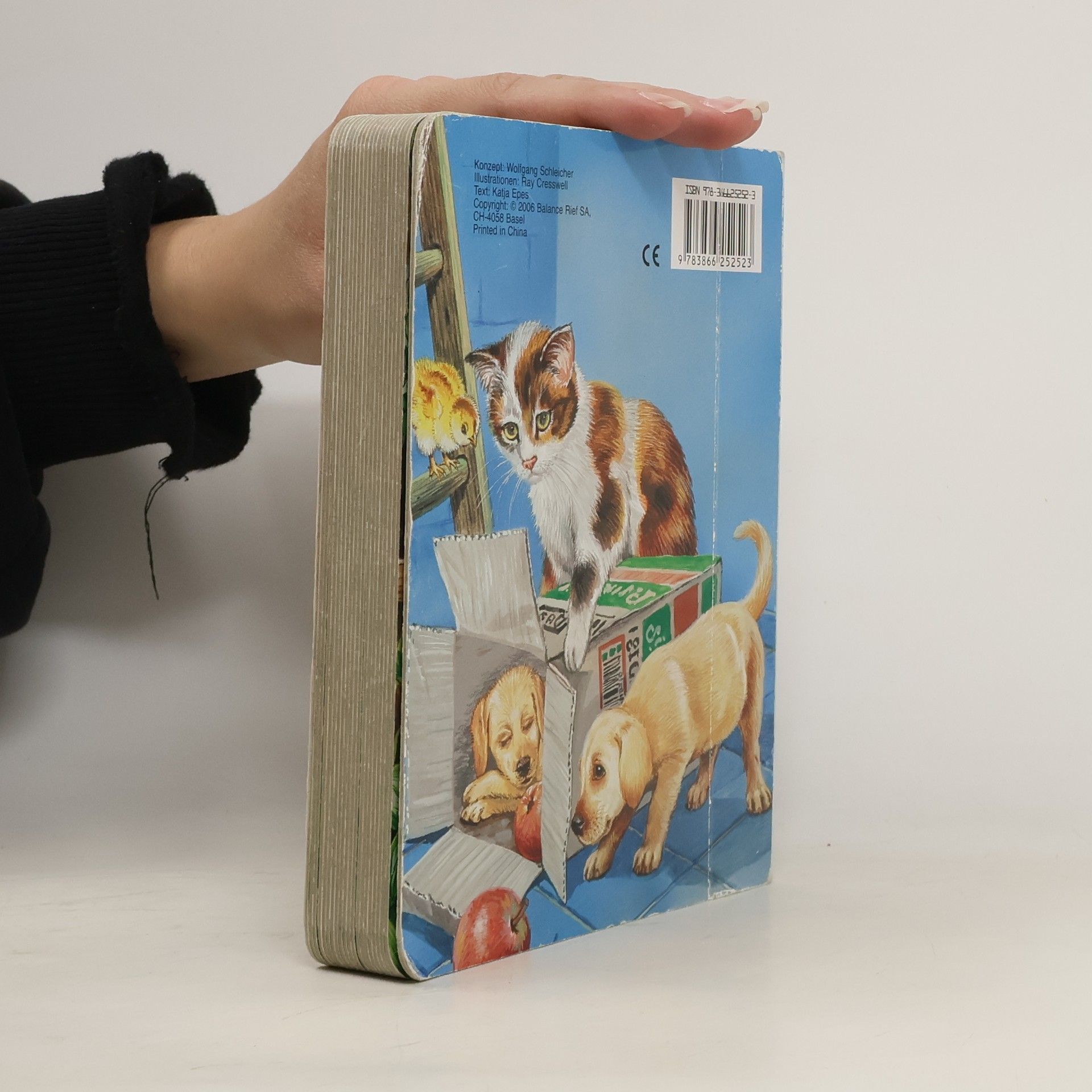 Autorenkollektiv Wo verstecken sich die Tierkinder?