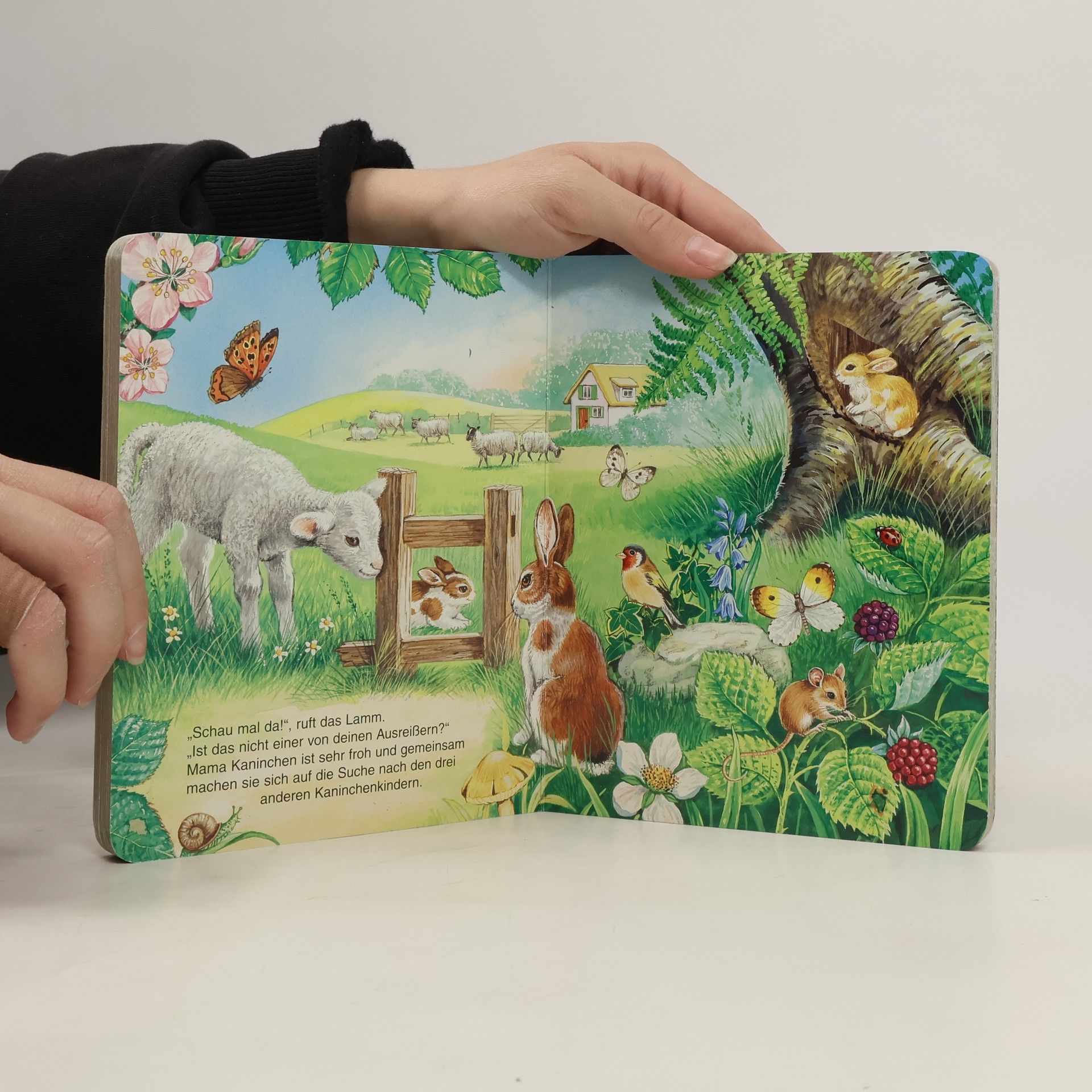 Autorenkollektiv Wo verstecken sich die Tierkinder?