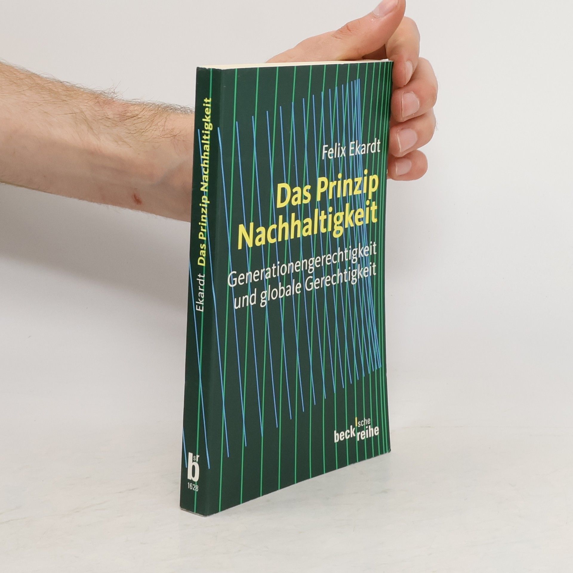 Felix Ekardt Das Prinzip Nachhaltigkeit