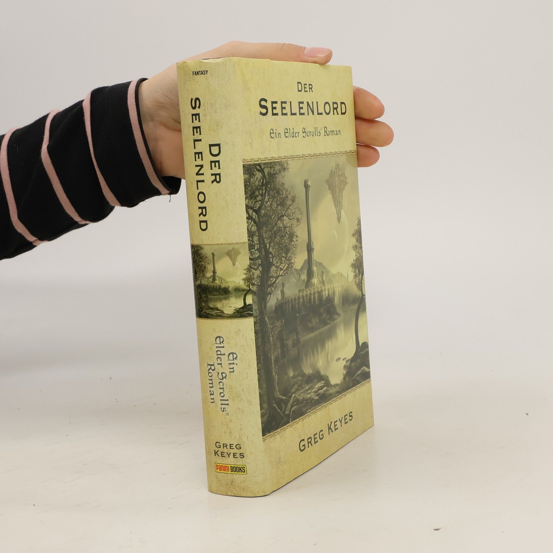 J. Gregory Keyes Der Seelenlord