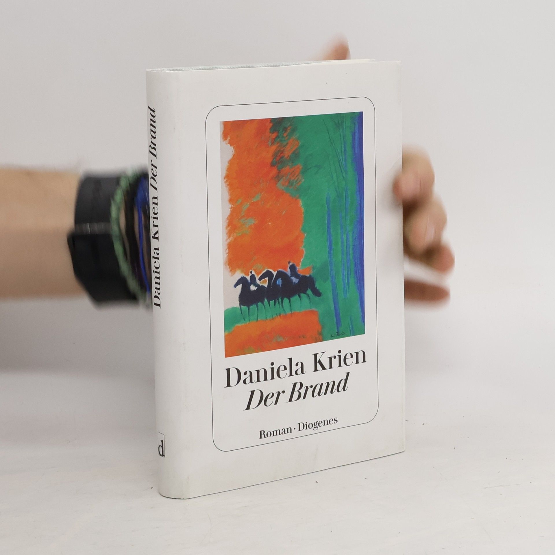 Daniela Krien Der Brand : Roman
