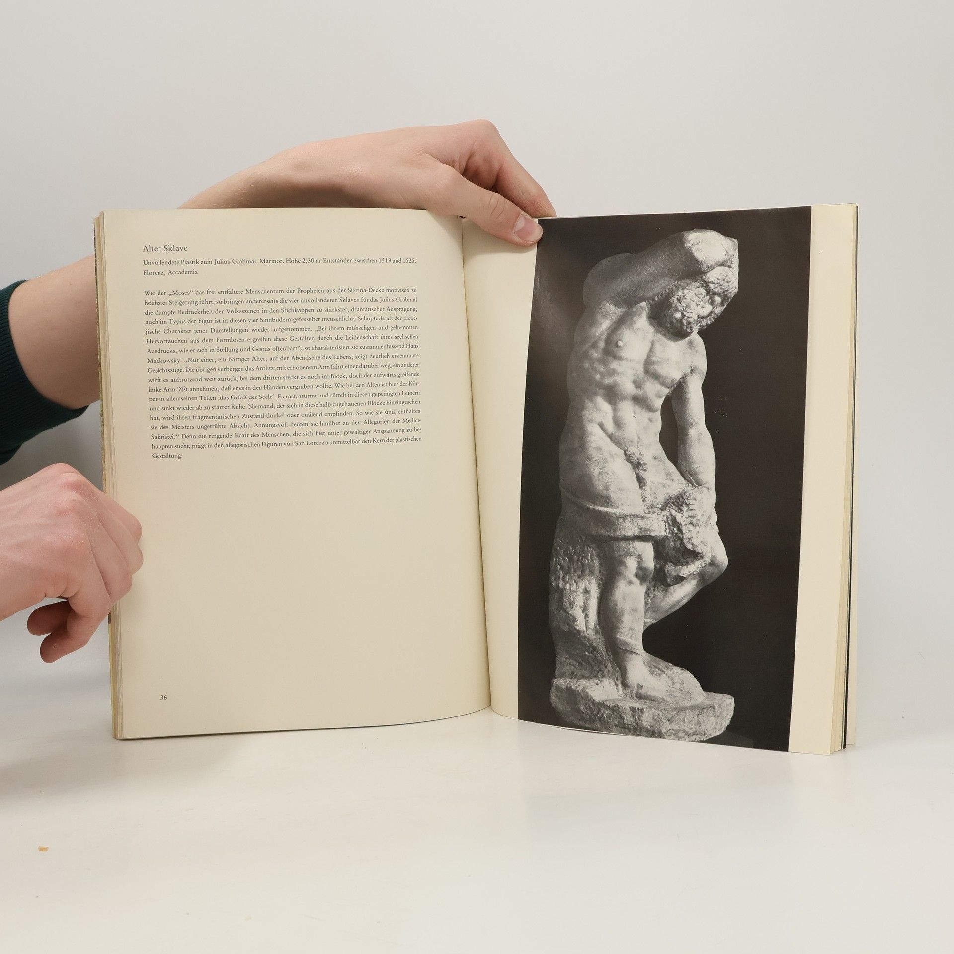 Autorenkollektiv Welt der Kunst. Michelangelo