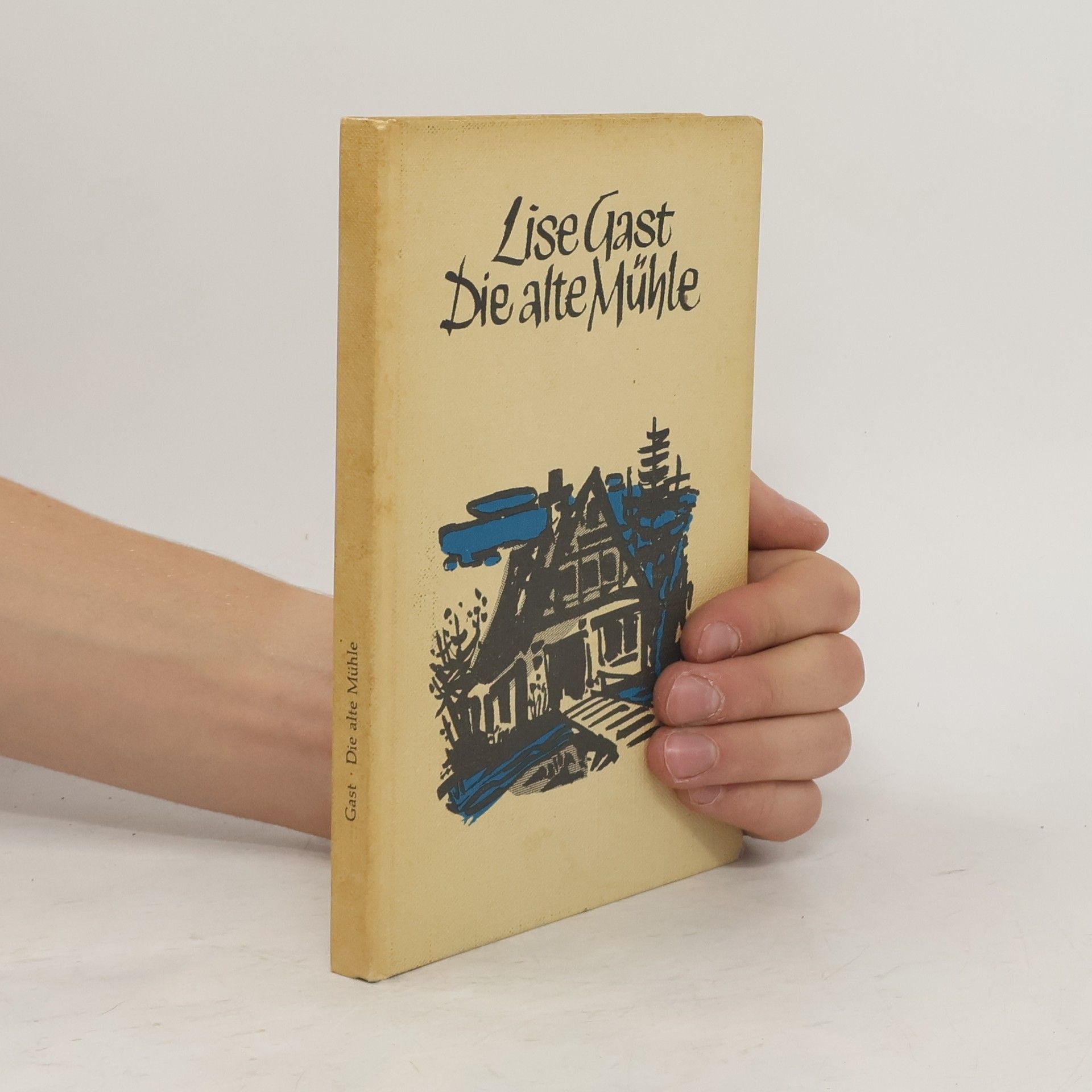 Lise Gast Die alte Mühle