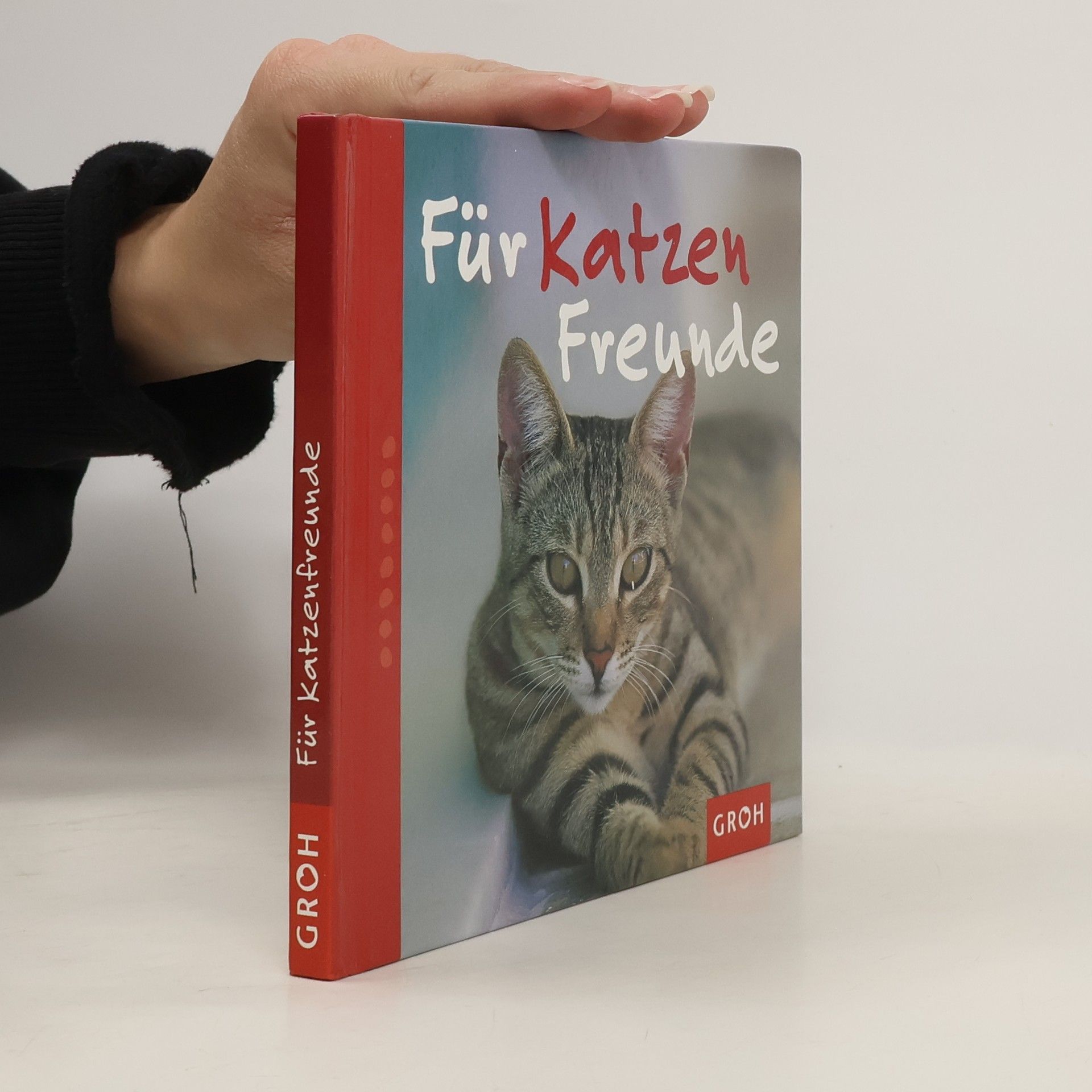 Nina Sandmann Für Katzenfreunde