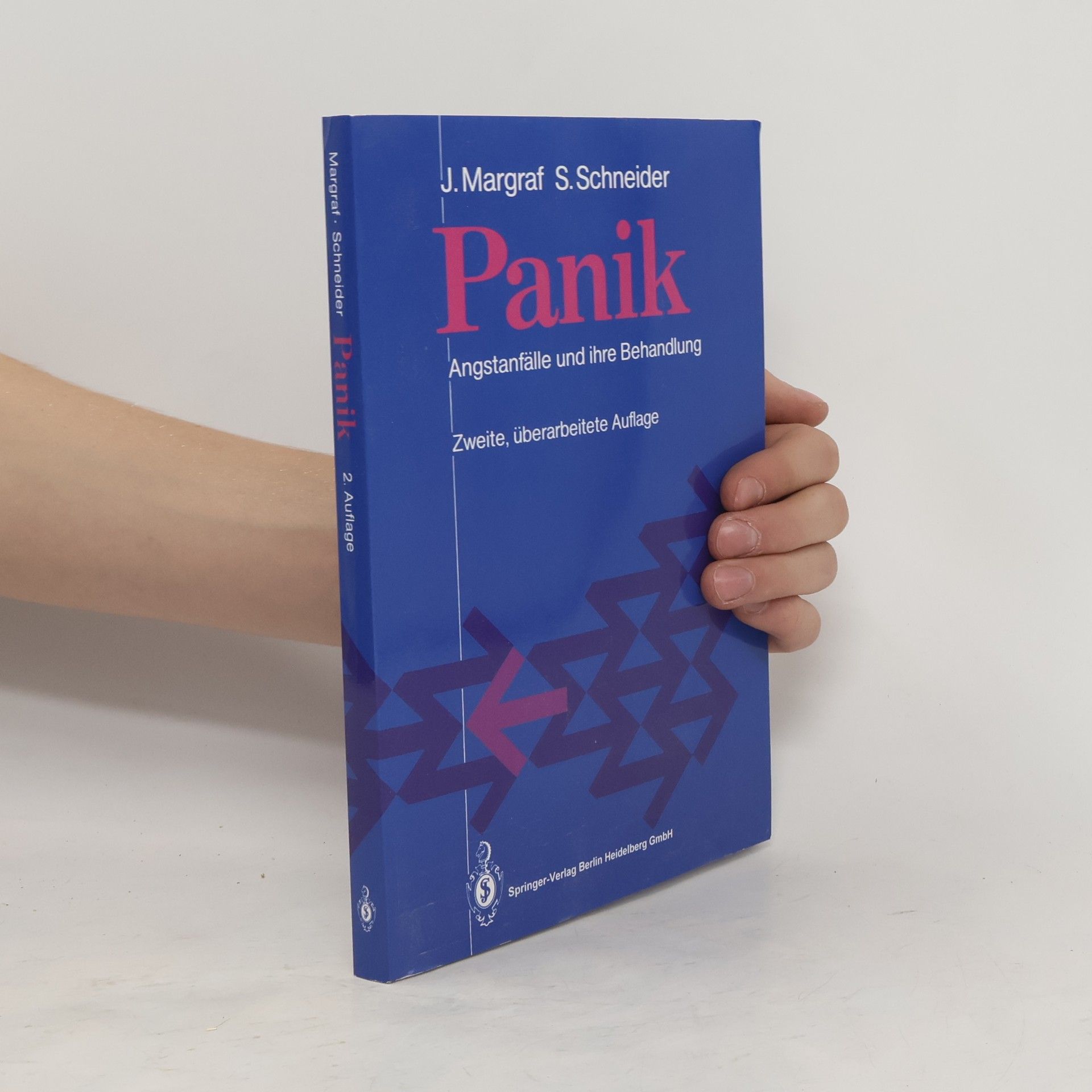 Silvia Schneider Panik. Angstfälle und ihre Behandlung
