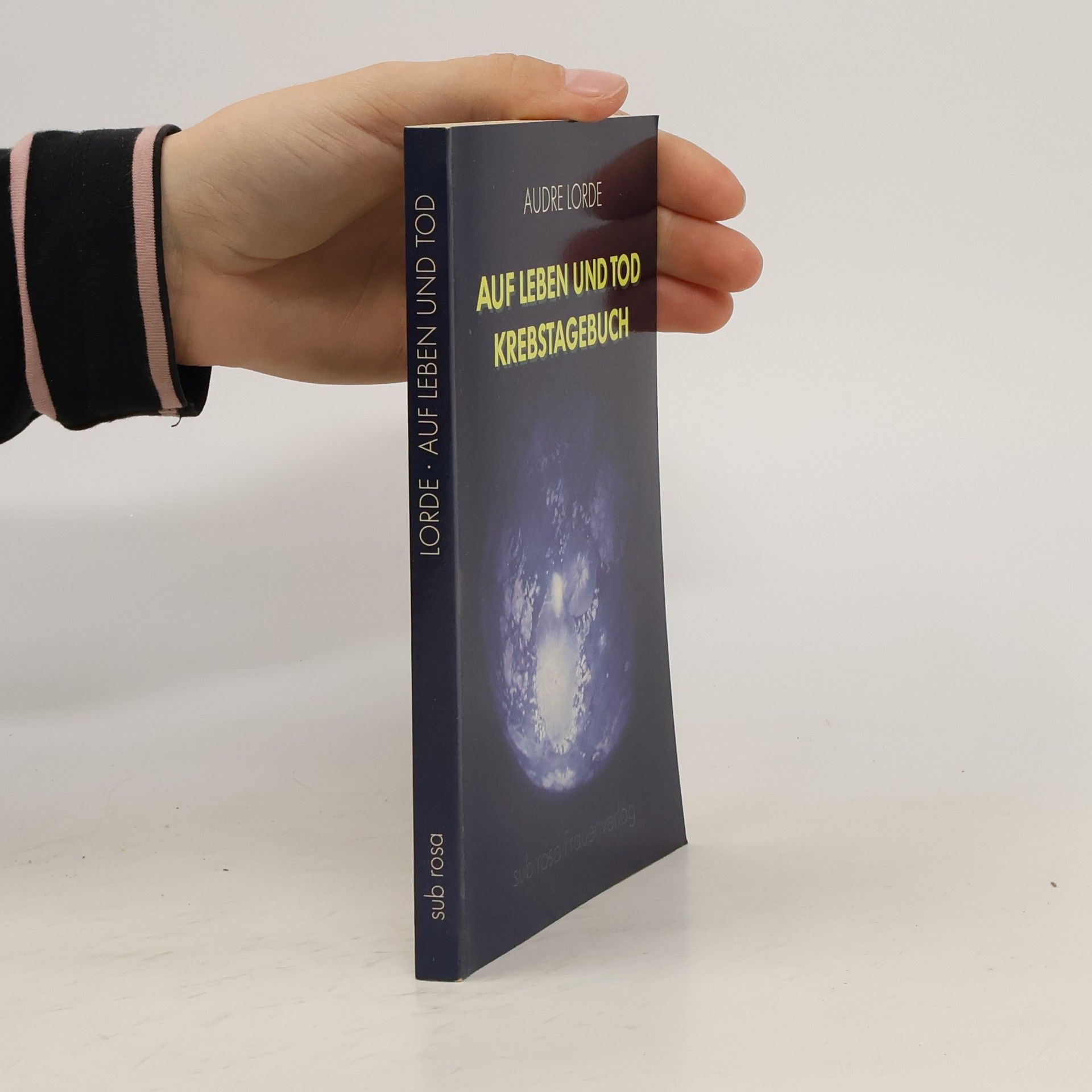Audre Lorde Auf Leben und Tod, Krebstagebuch