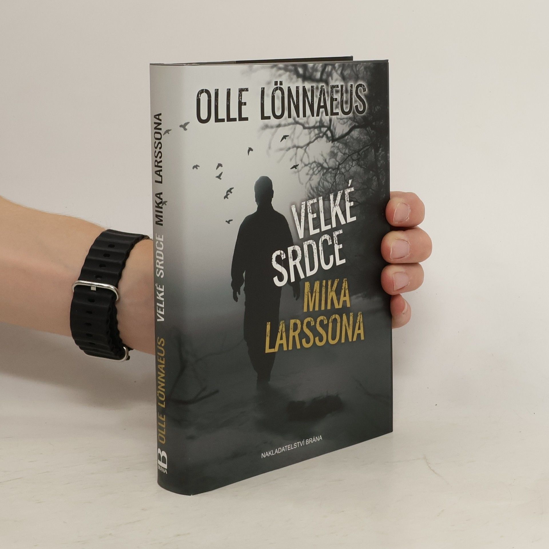 Olle Lönnaeus Velké srdce Mika Larssona
