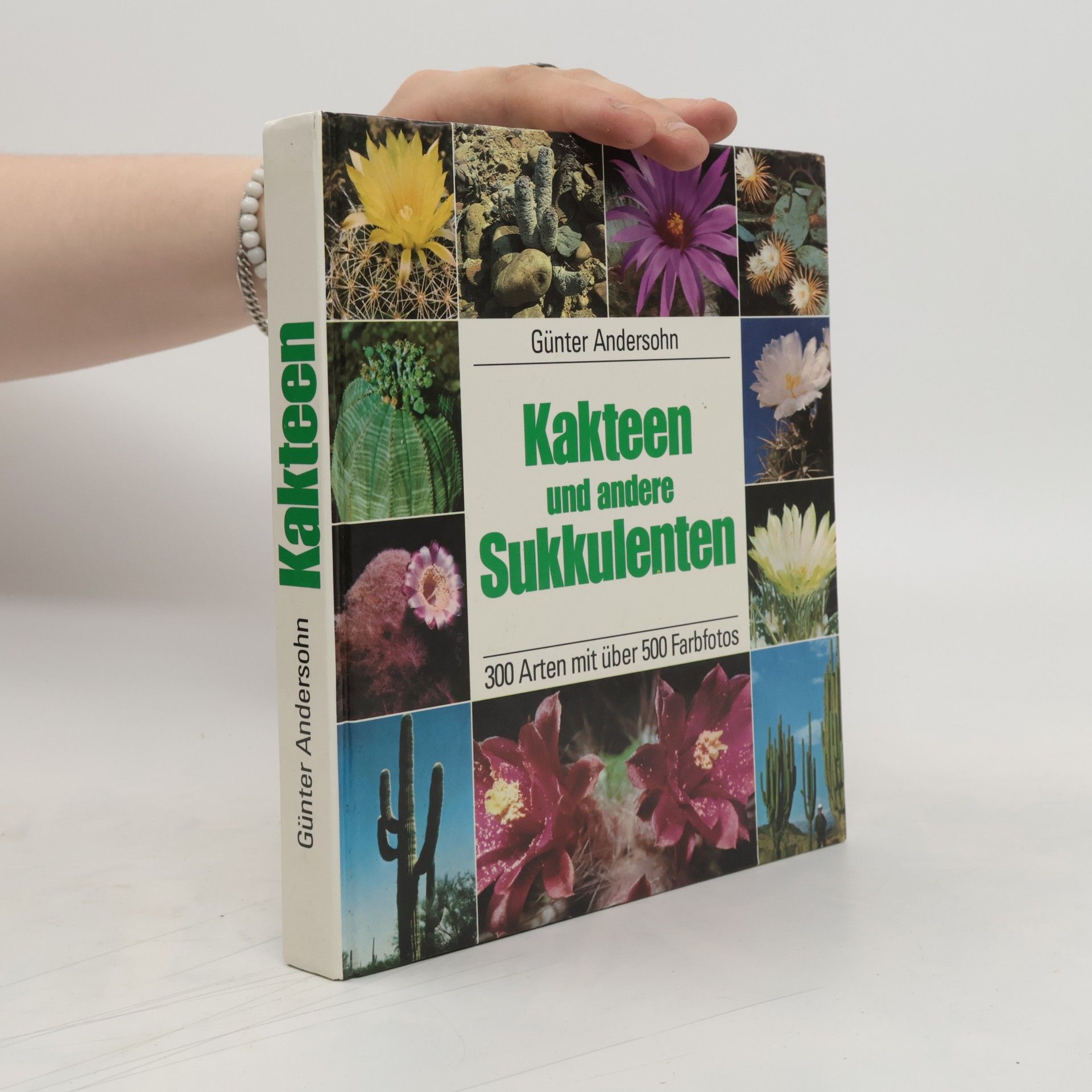 Autorenkollektiv Kakteen und andere Sukkulenten