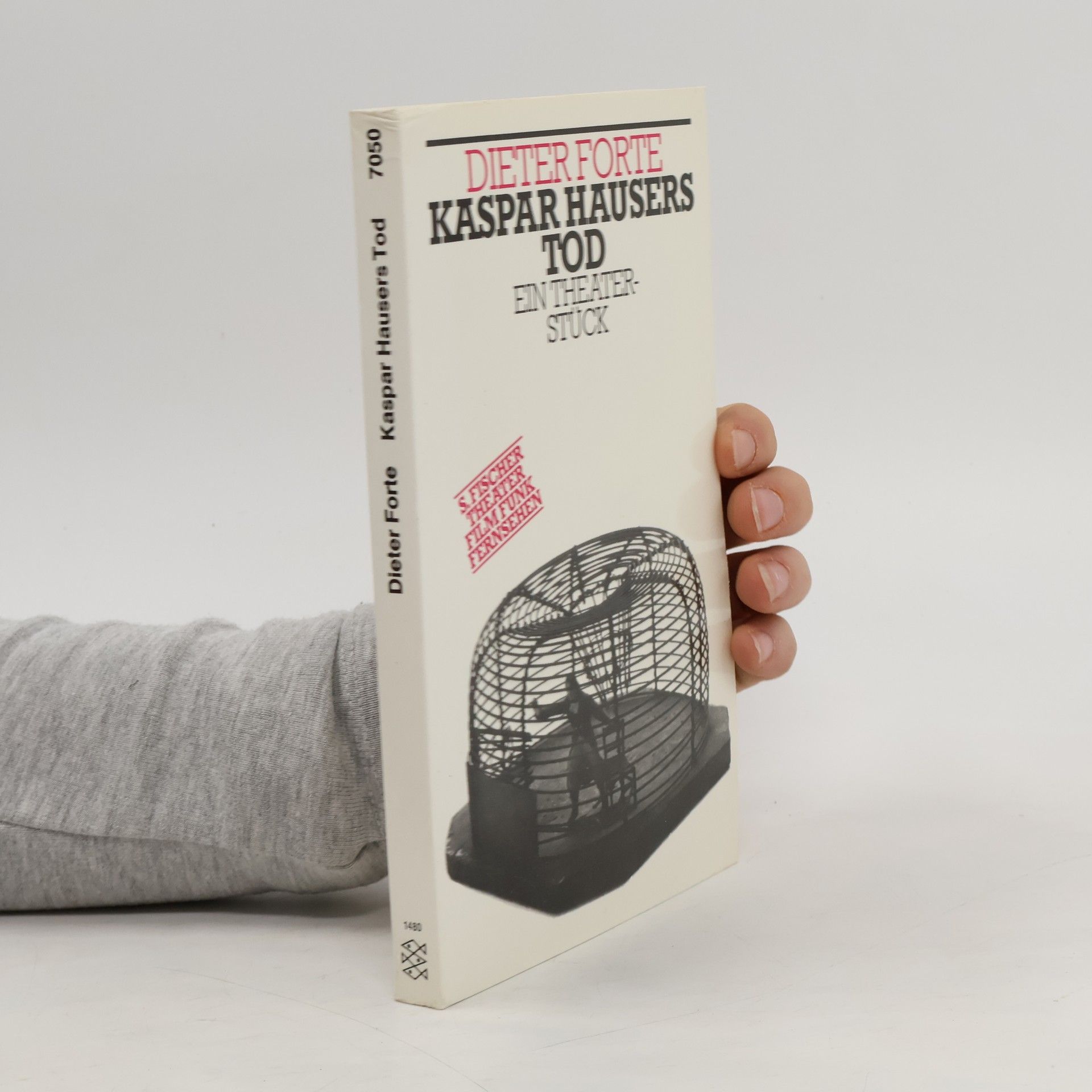 Dieter Forte Kaspar Hausers Tod