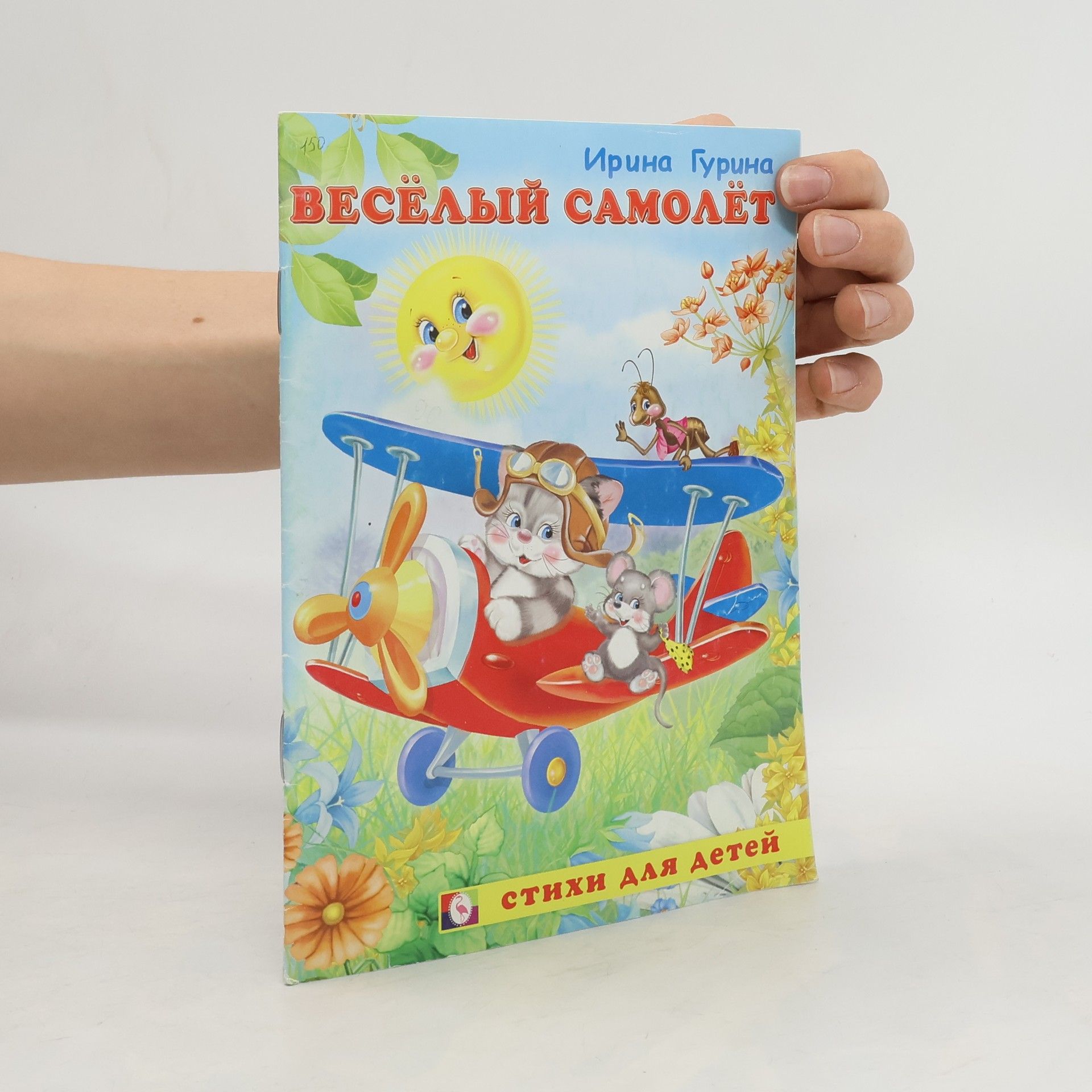 Веселый самолет