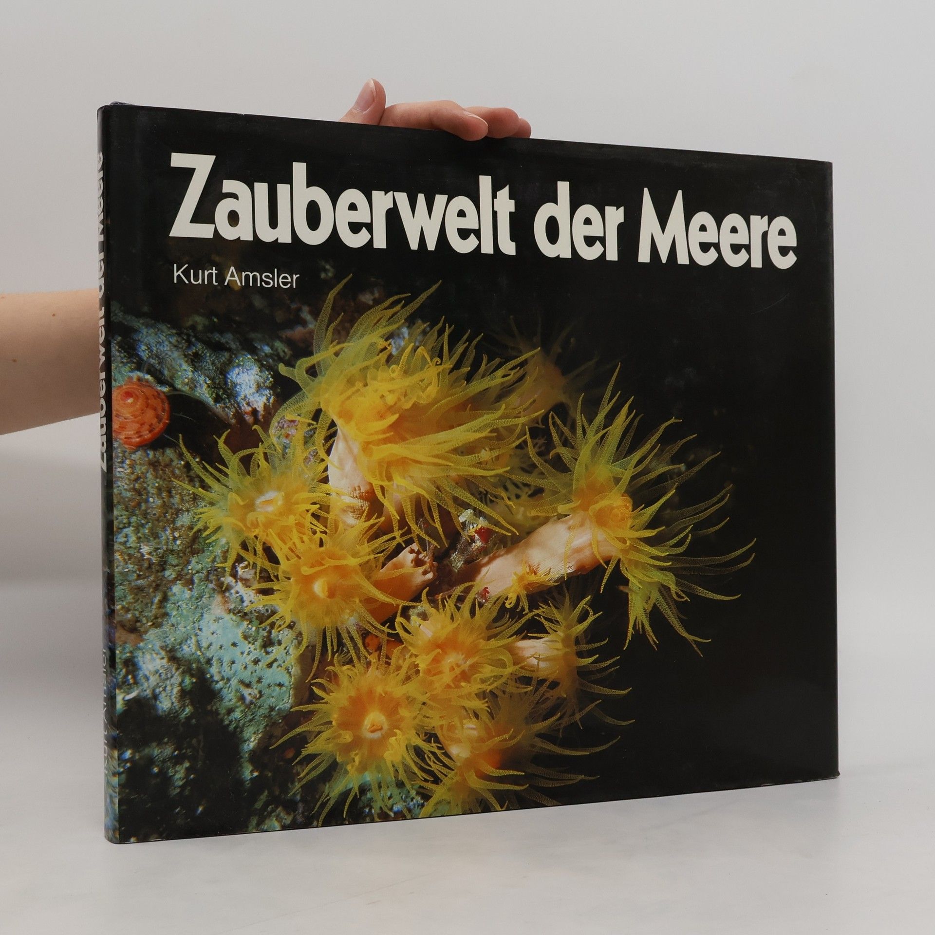 Kurt Amsler Zauberwelt der Meere