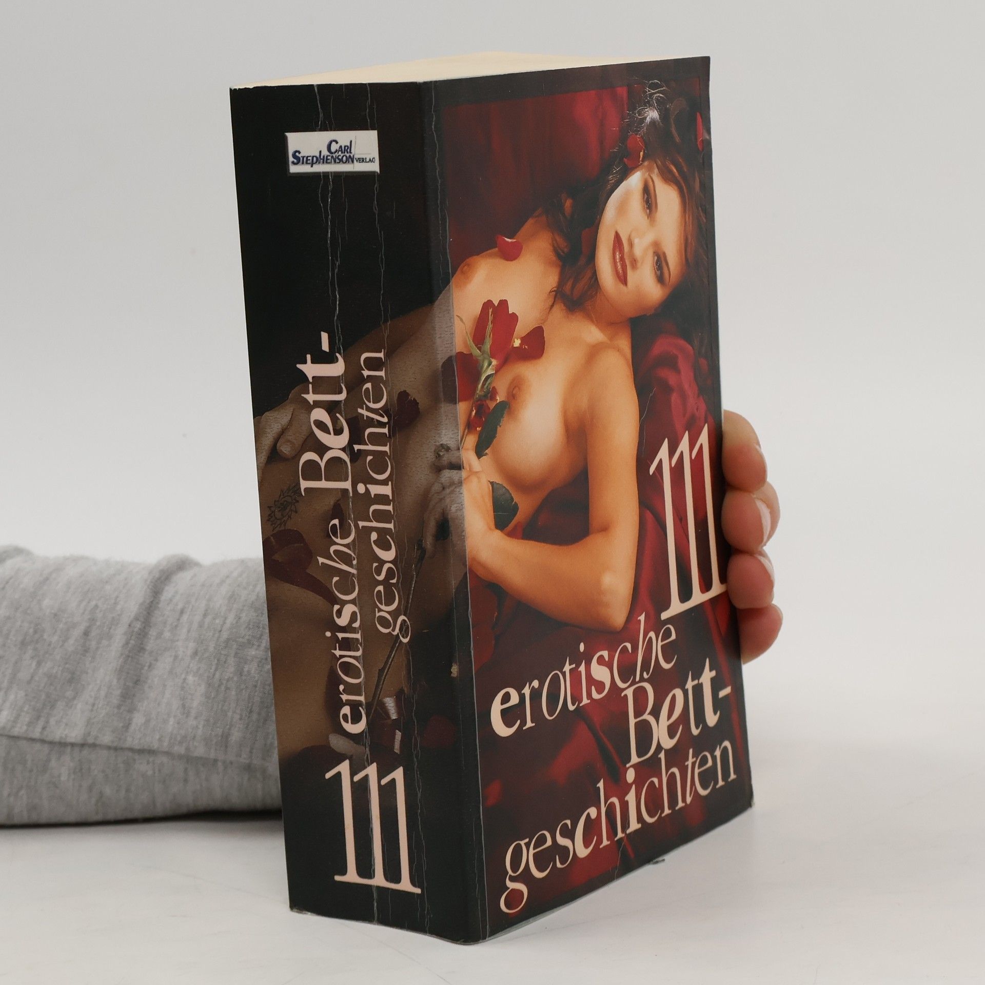 Autorenkollektiv 111 erotische Bettgeschichten