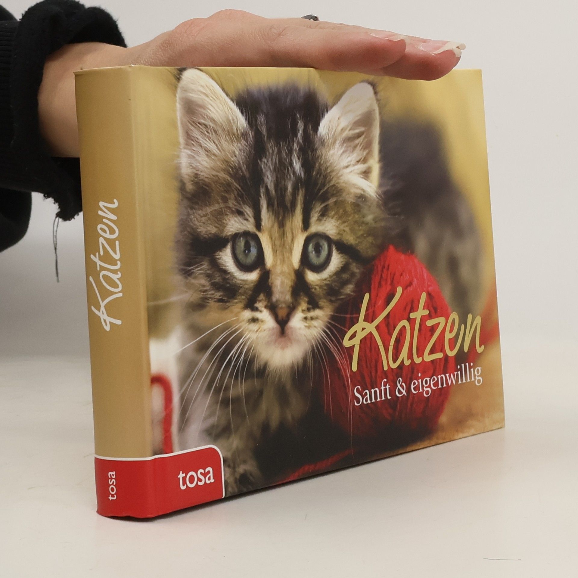 Autorenkollektiv Katzen