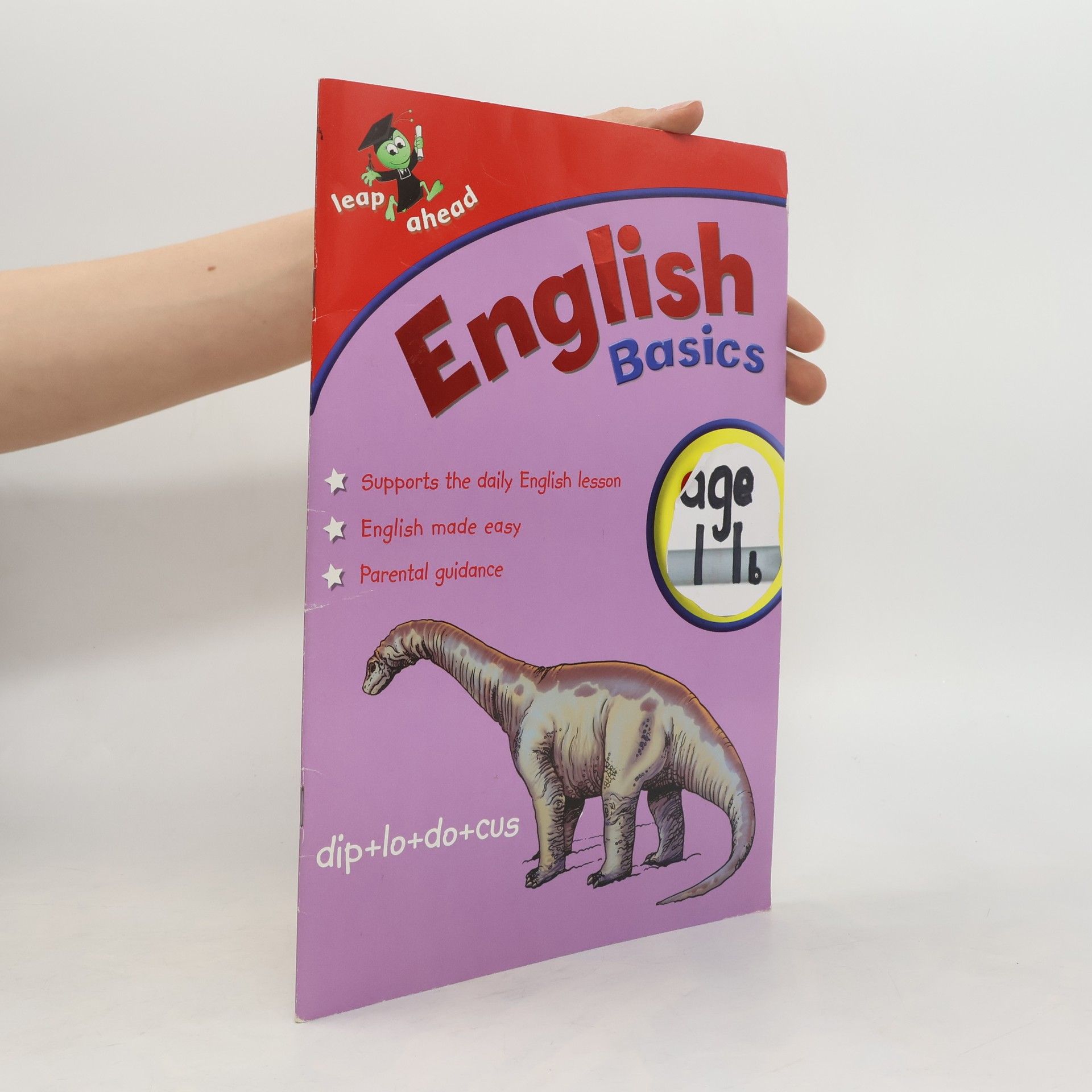 Louis Fidge English Basics