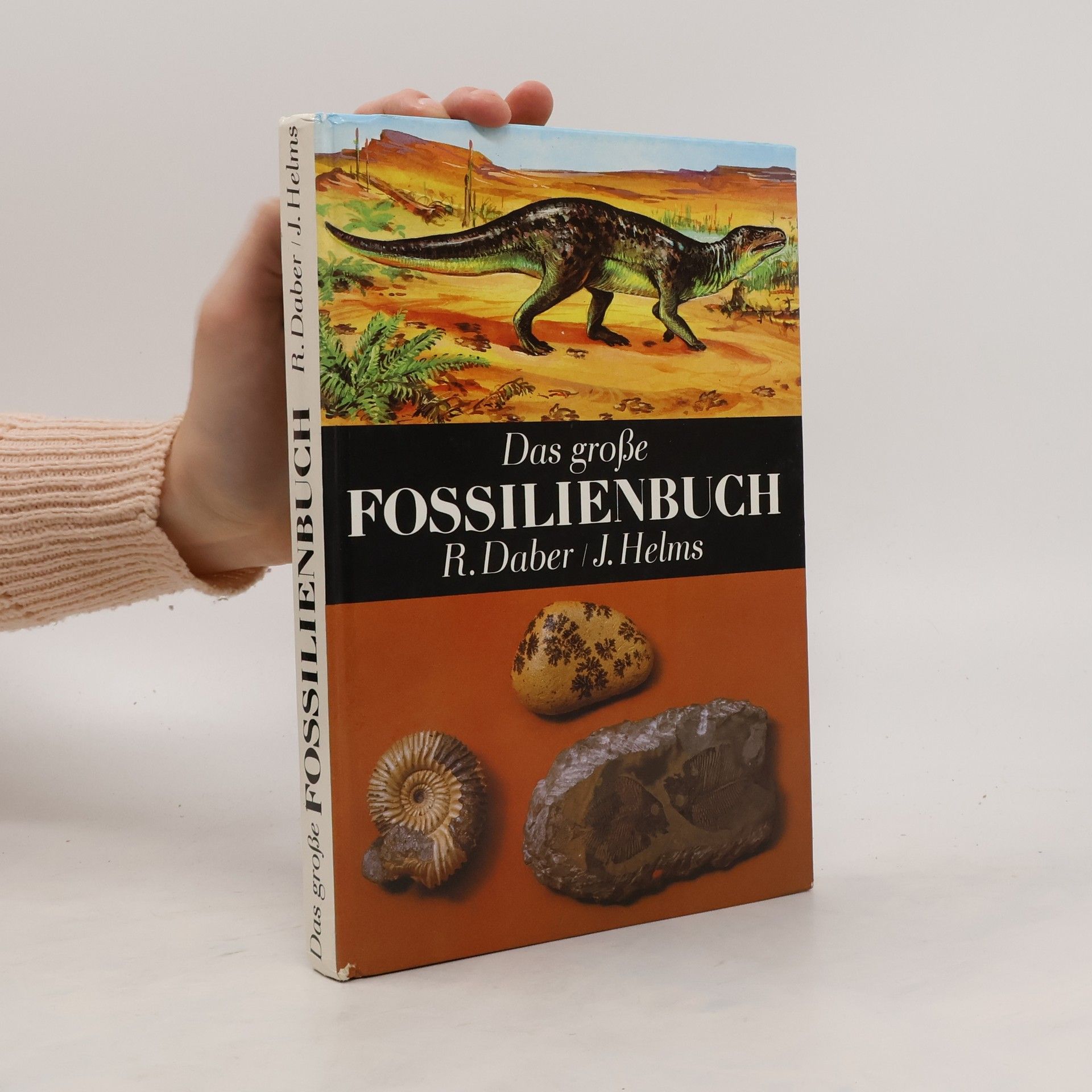 Rudolf Daber Das grosse Fossilienbuch