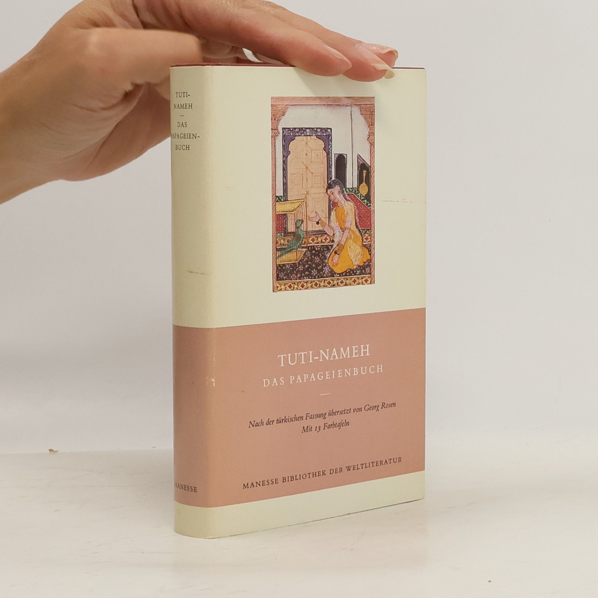 Tuti Nameh  Das Papageienbuch