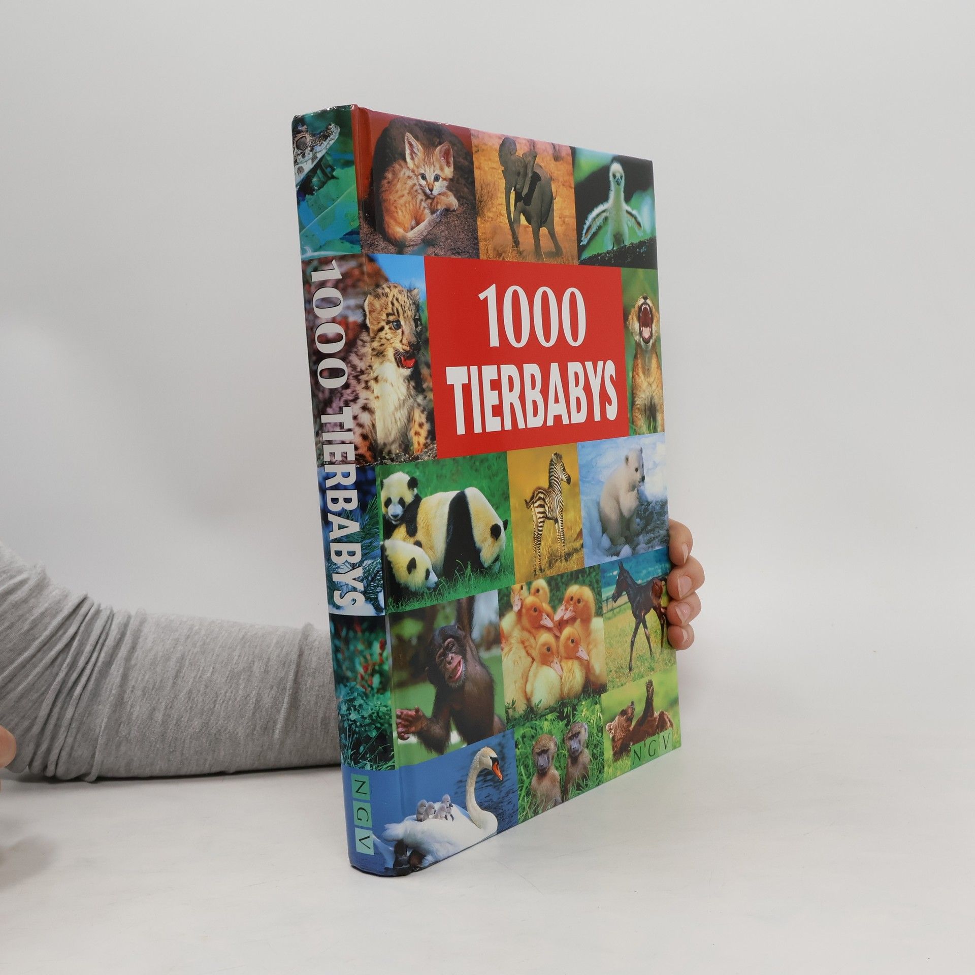 Ulrike Schöber 1000 Tierbabys