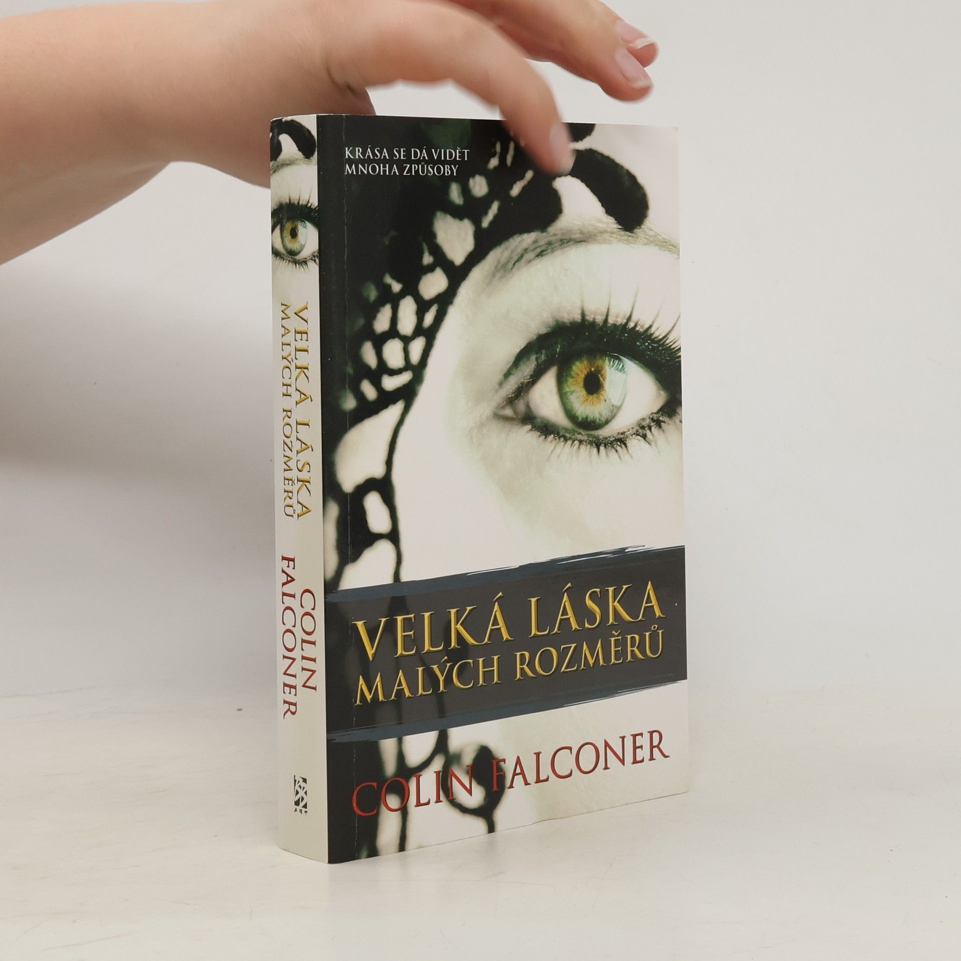 Colin Falconer Velká láska malých rozměrů