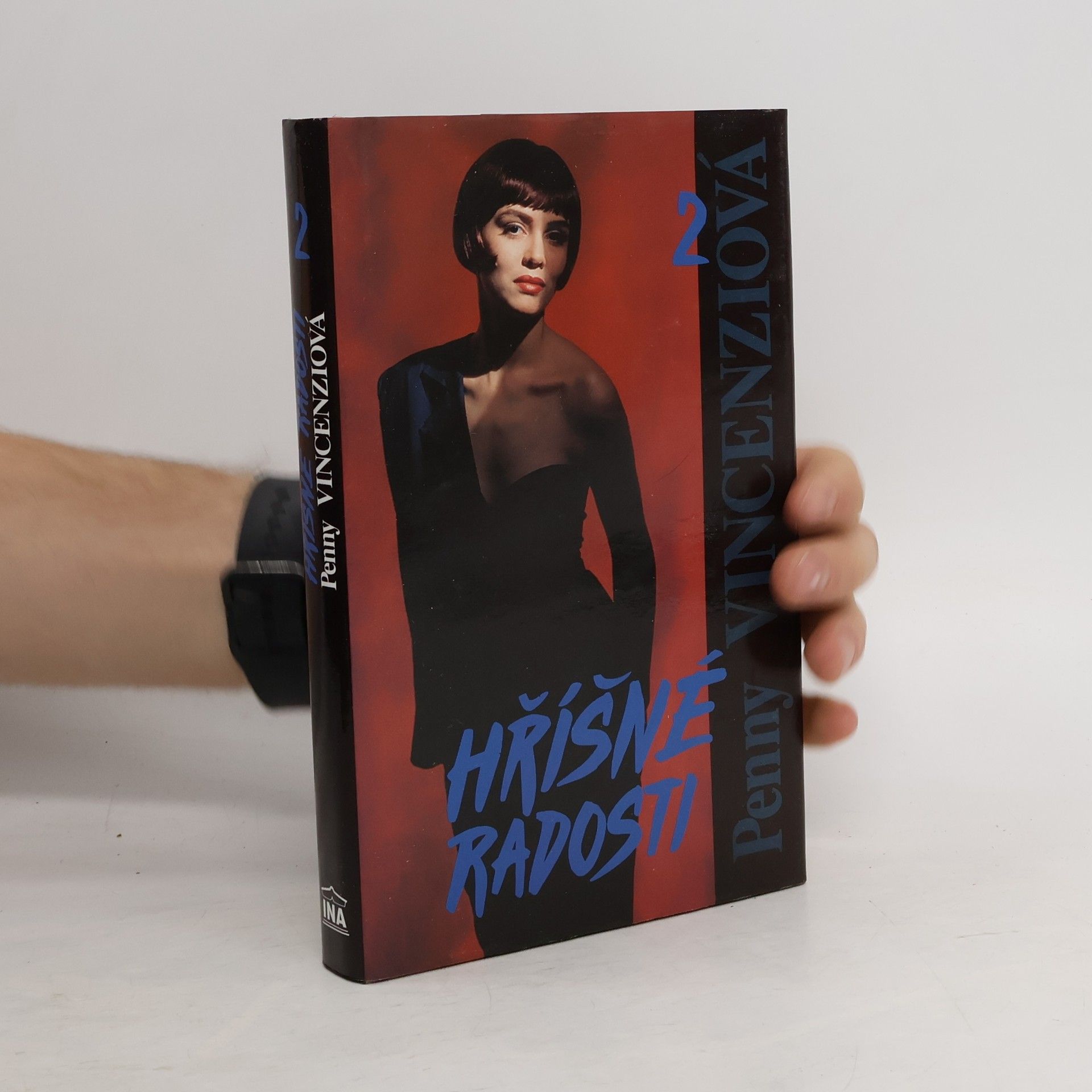 Penny Vincenzi Hříšné radosti. 2