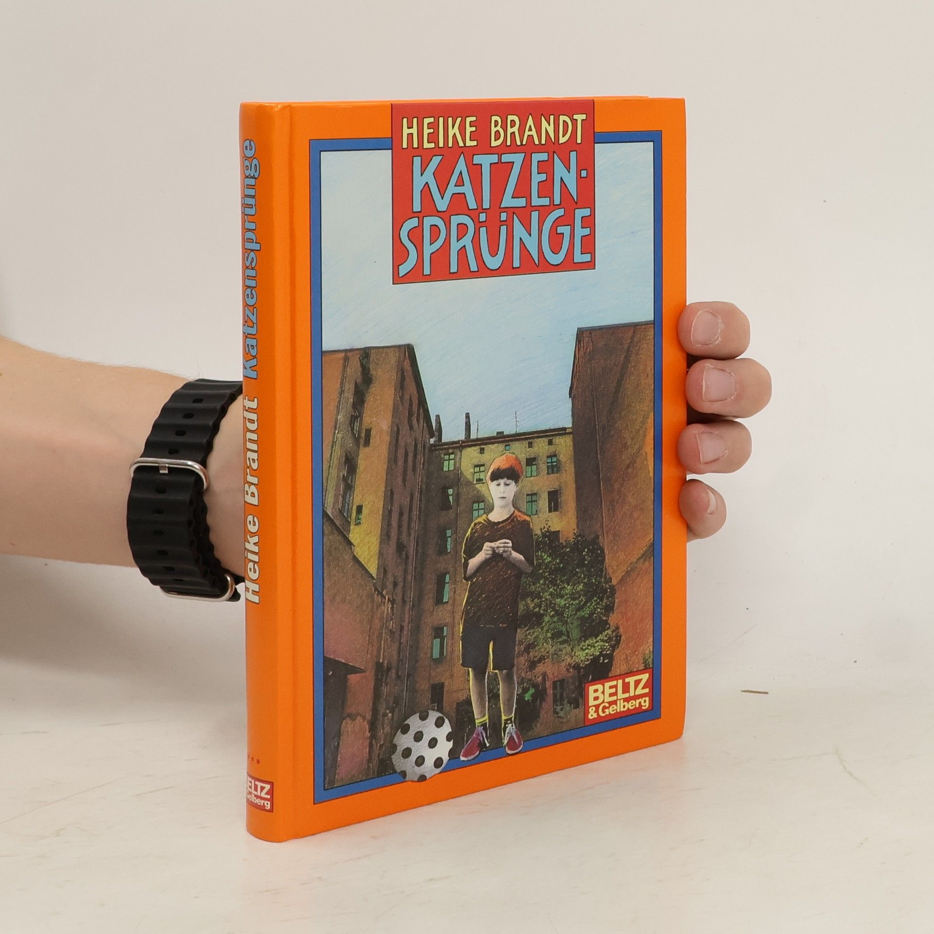 Heike Brandt Katzensprünge