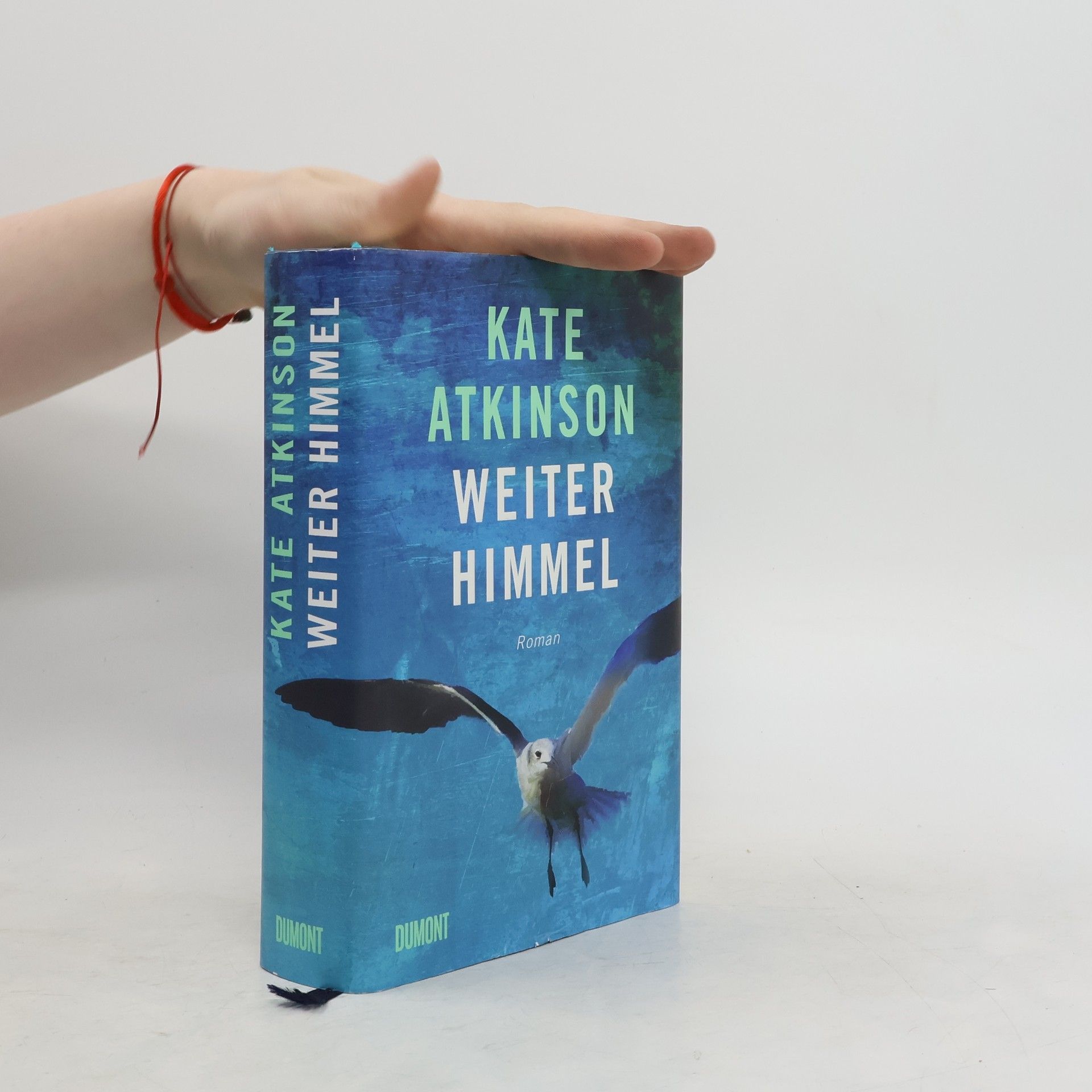 Kate Atkinson Weiter Himmel