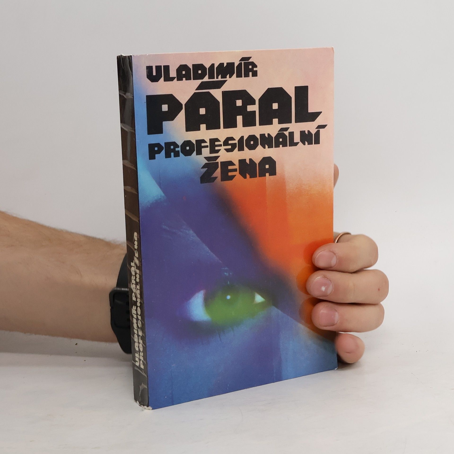 Vladimír Páral Profesionální žena