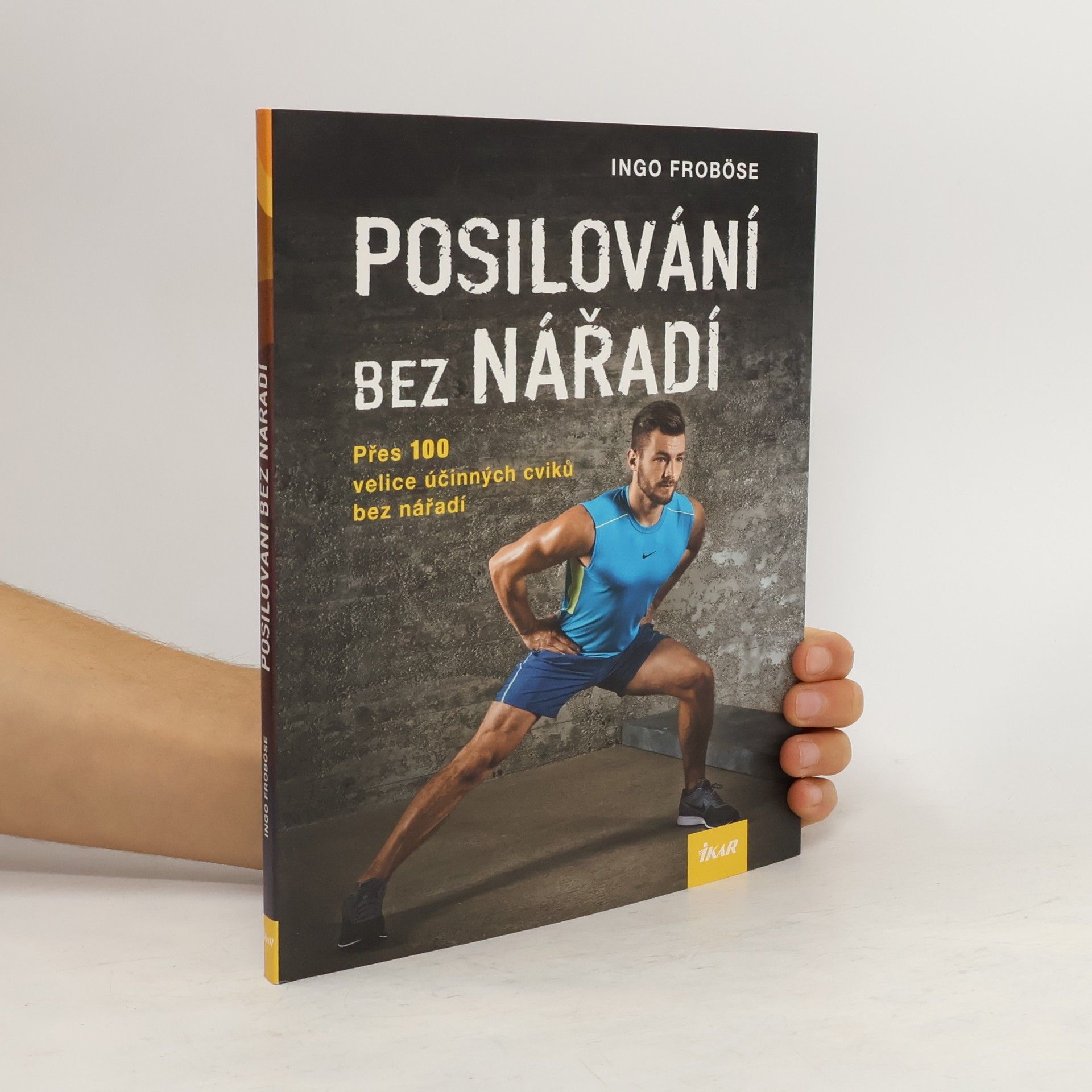 Ingo Froböse Posilování bez nářadí