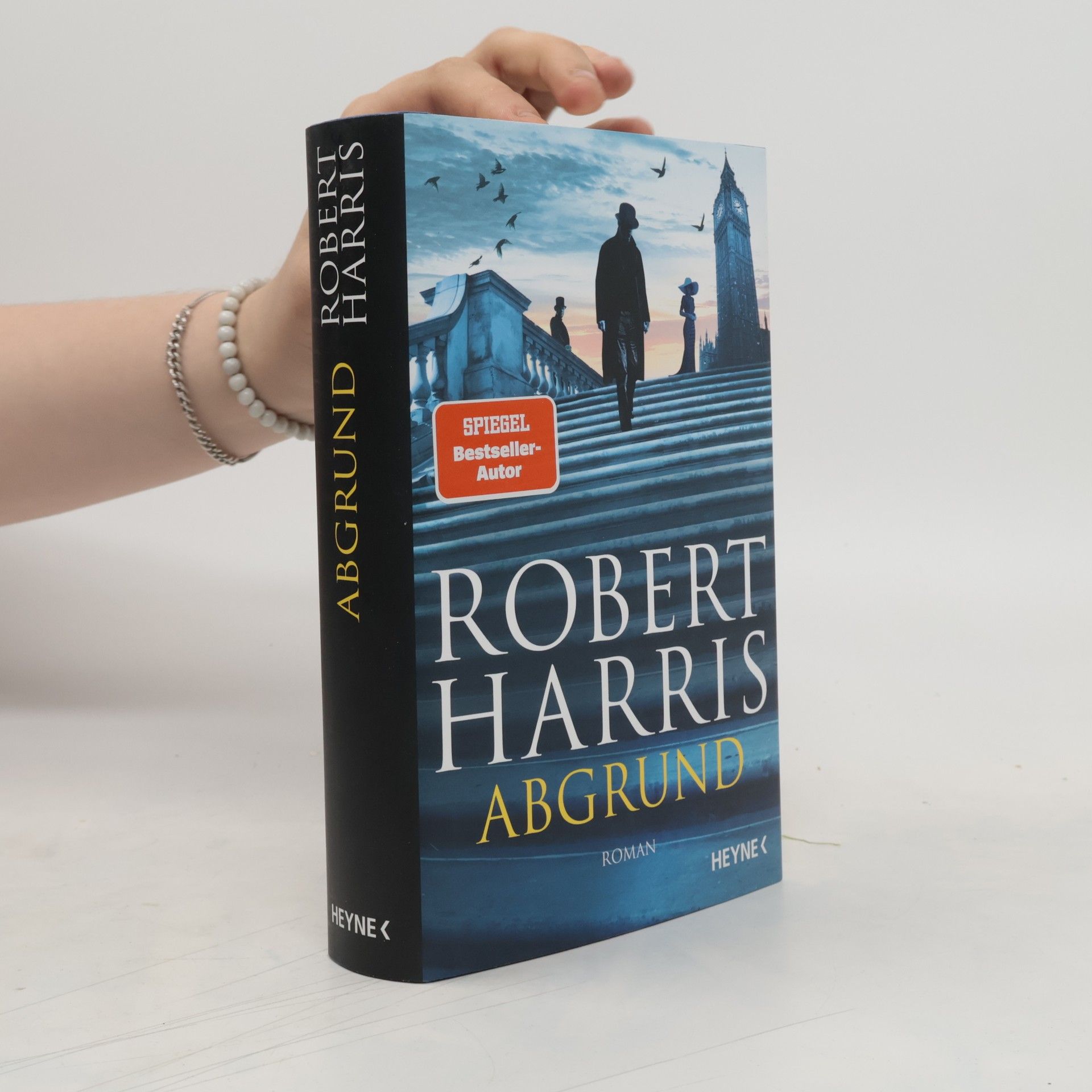 Robert Harris Abgrund