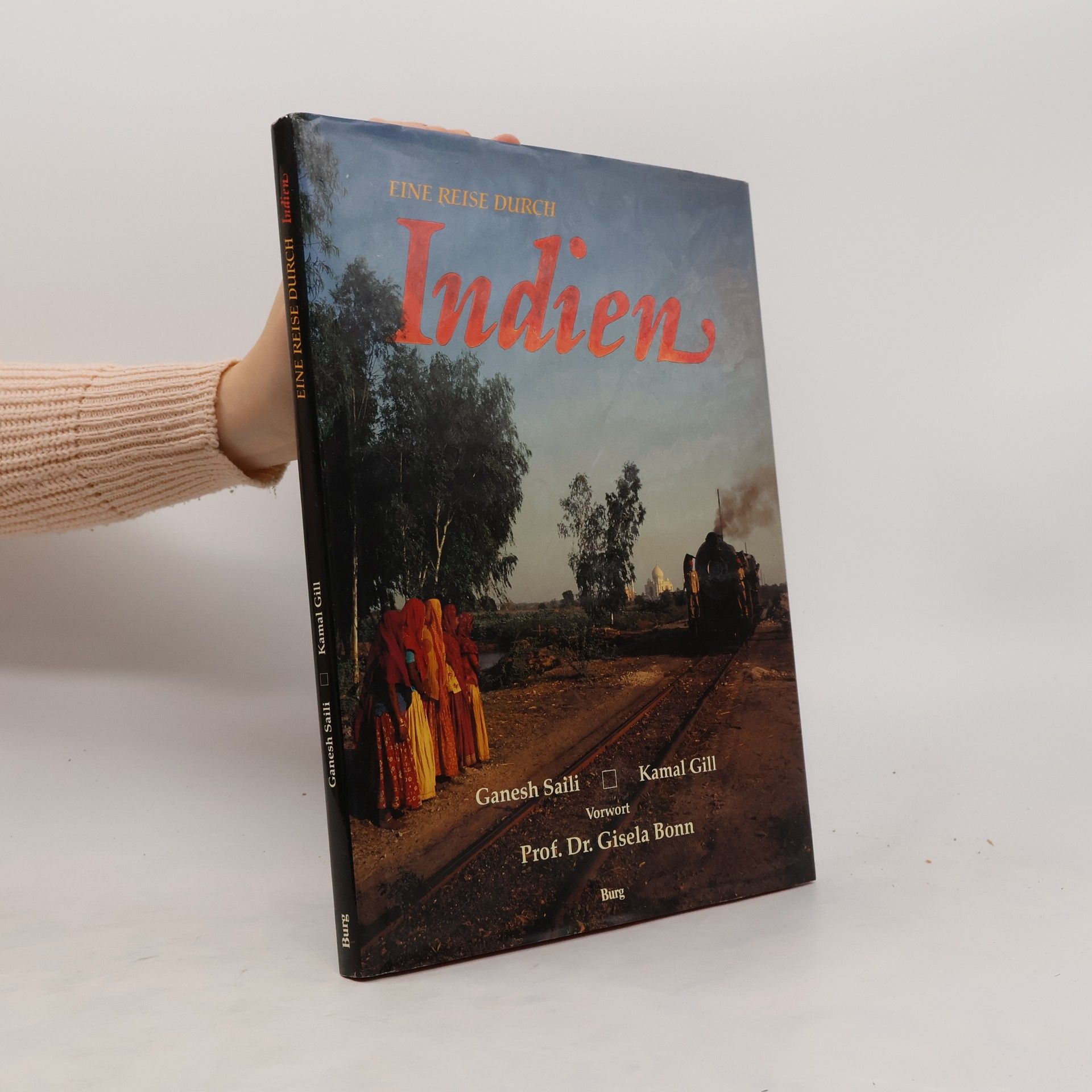 Ganesh Saili Eine Reise durch Indien