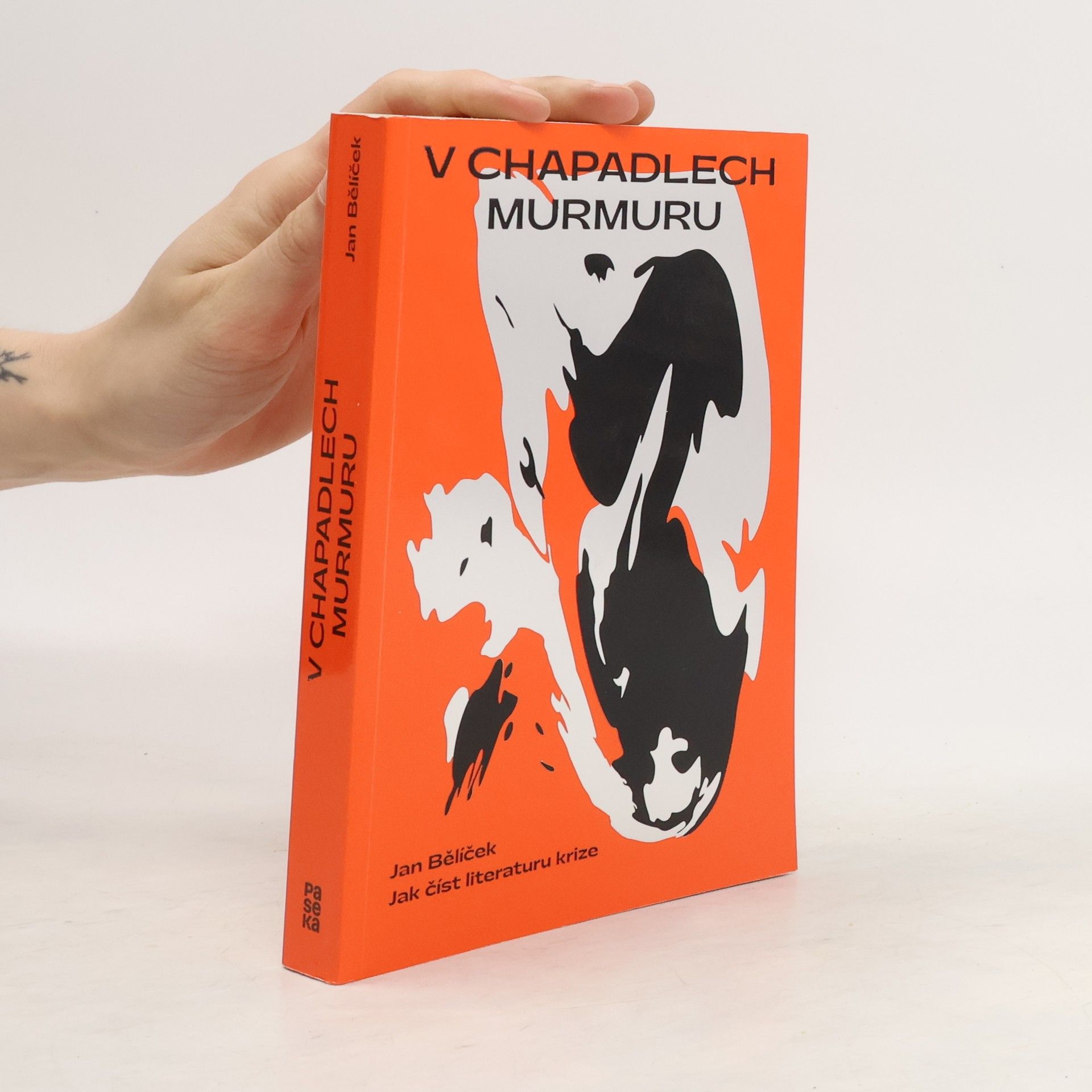 Jan Bělíček V chapadlech murmuru : jak číst literaturu krize