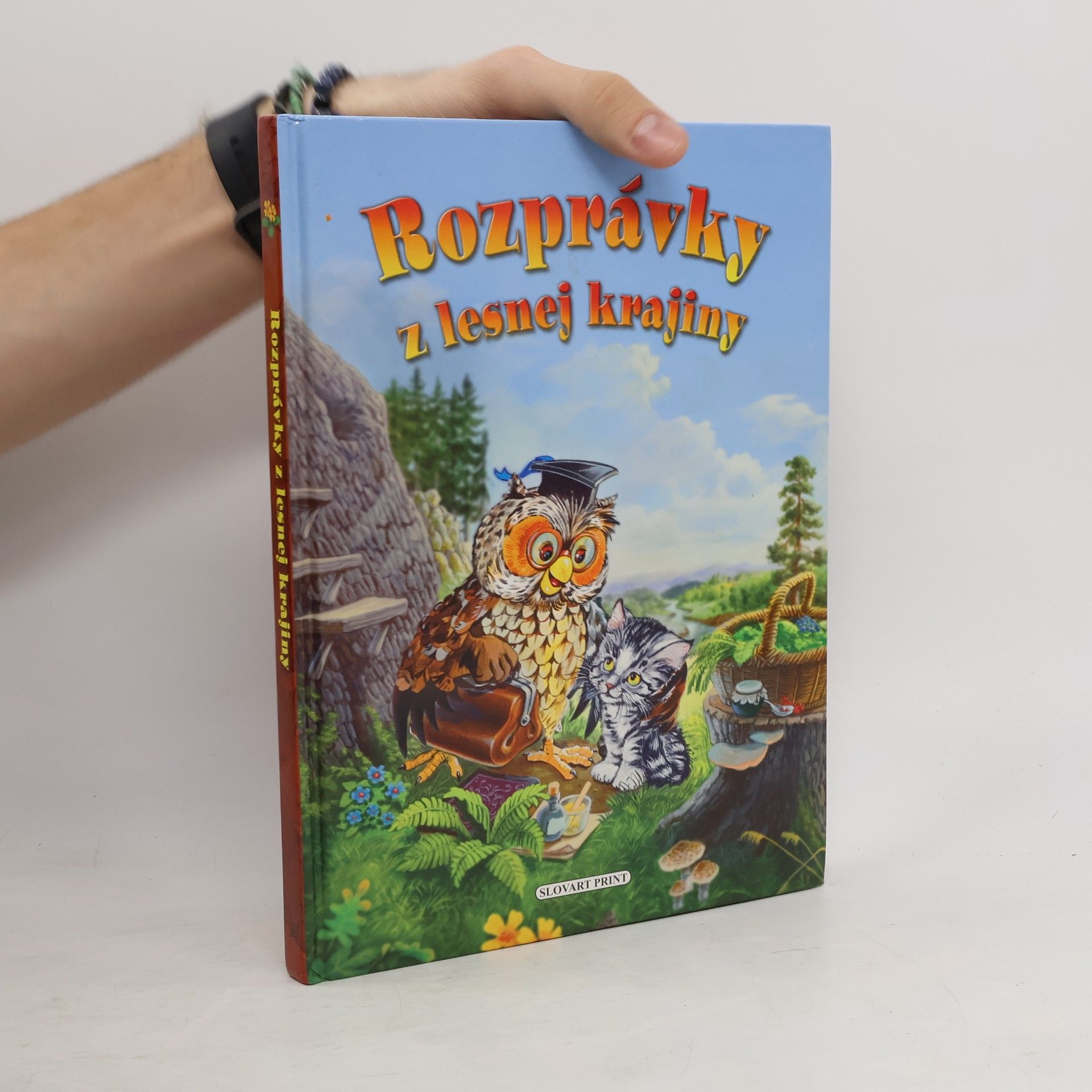 Collectif d'auteurs Rozprávky z lesnej krajiny