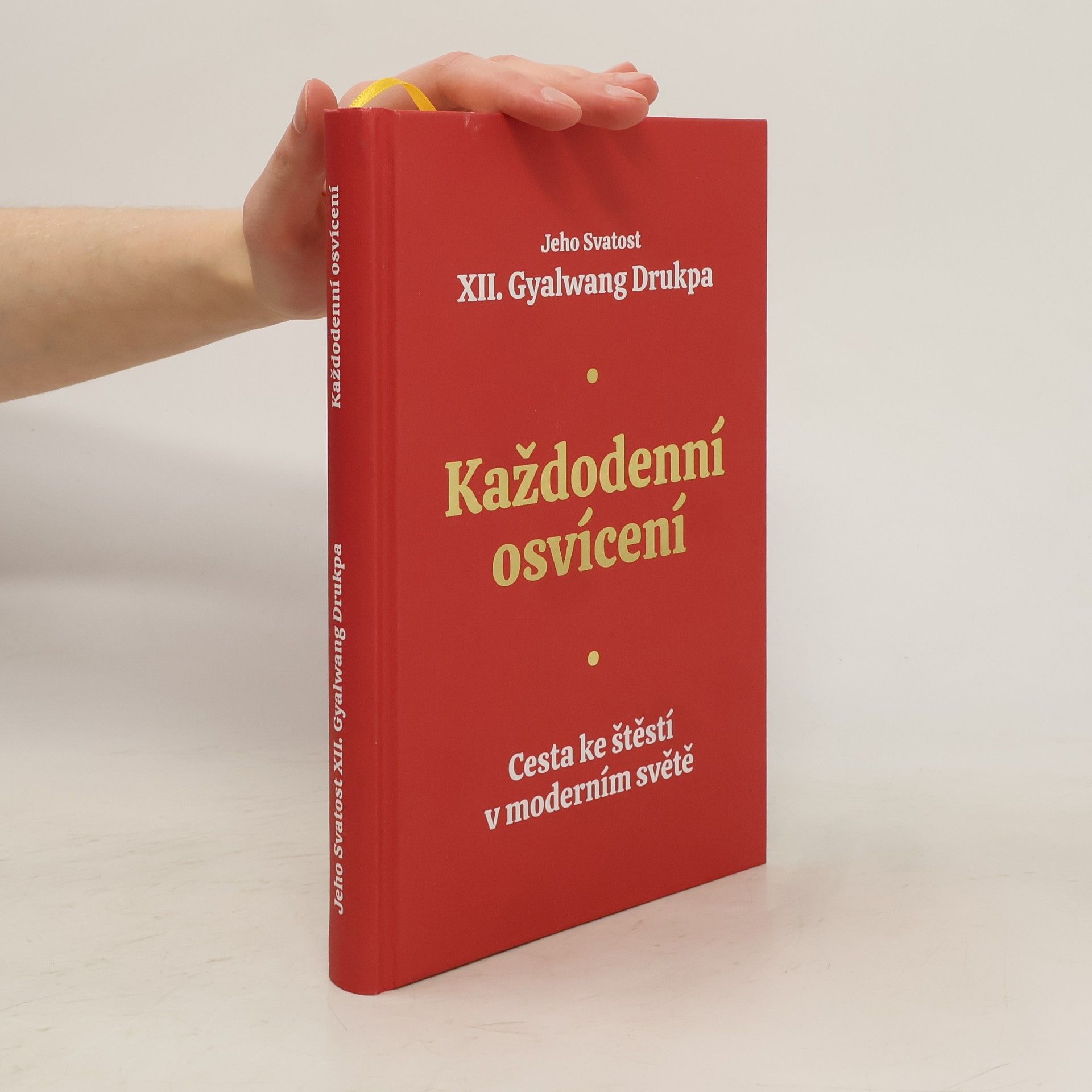 Gyalwang Drukpa Každodenní osvícení. Cesta ke štěstí v moderním světě