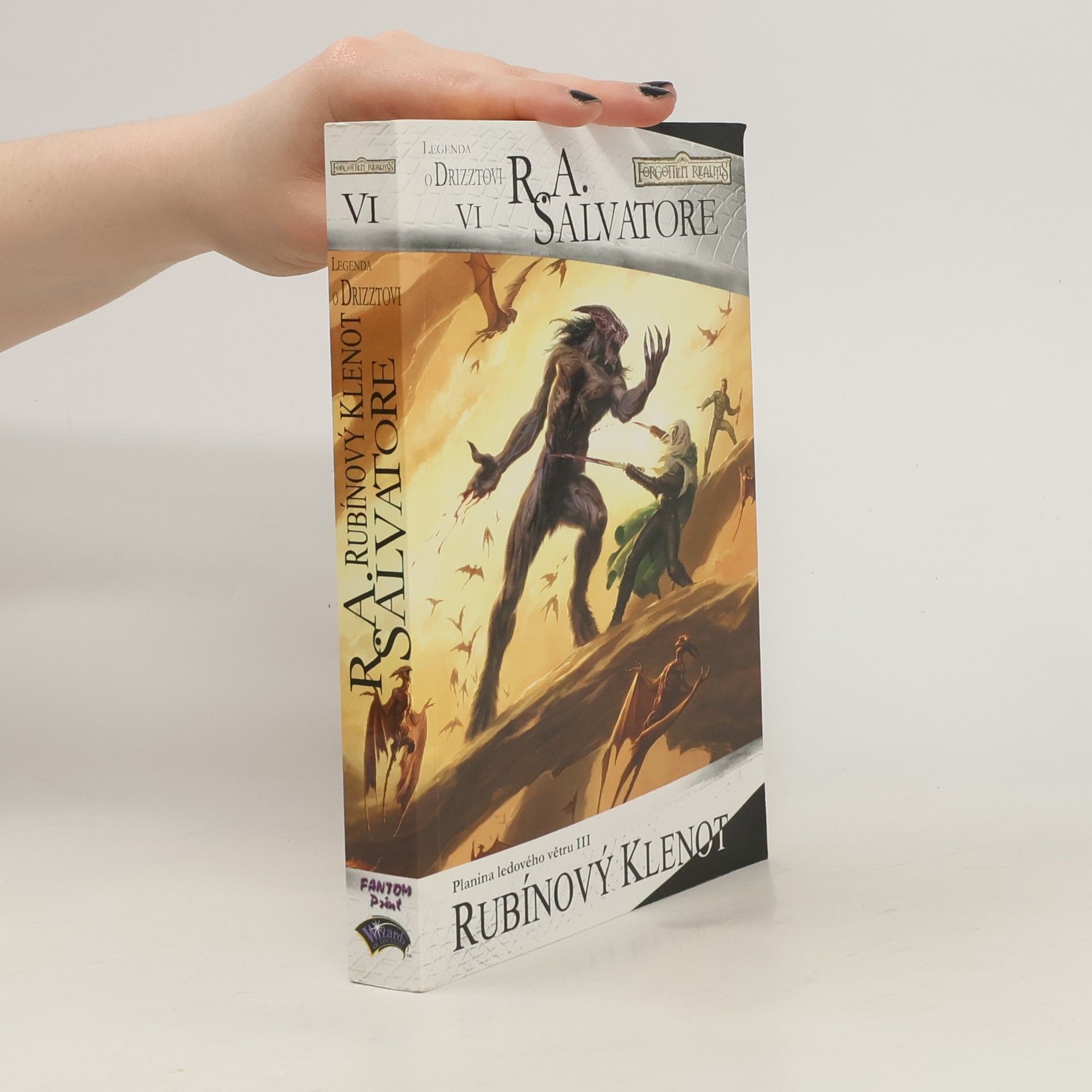 R. A. Salvatore Planina ledového větru. III, Rubínový klenot