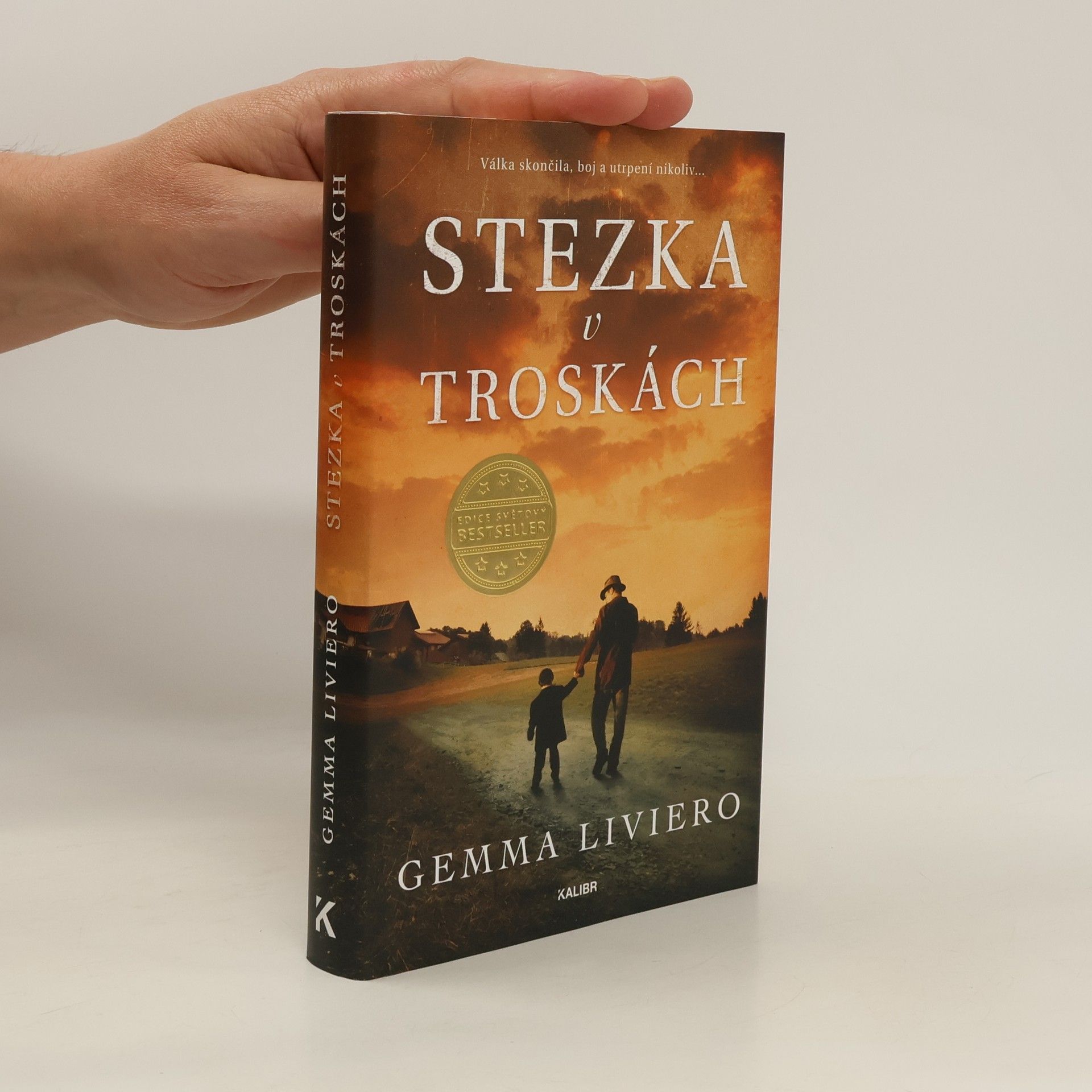 Gemma Liviero Stezka v troskách