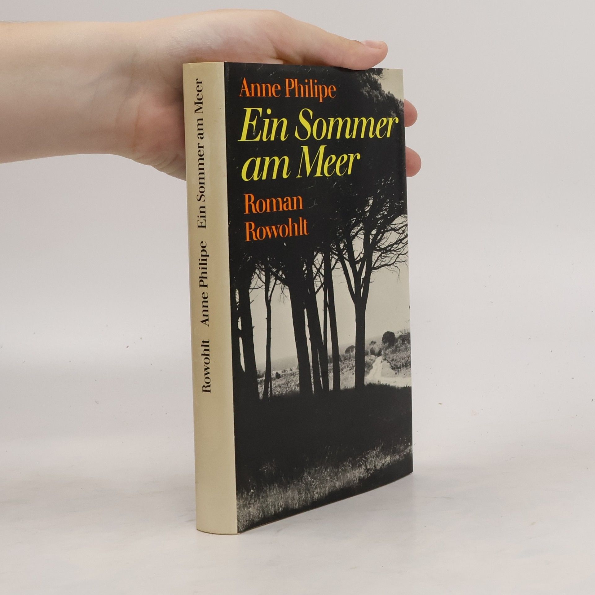 Anne Philipe Ein Sommer am Meer