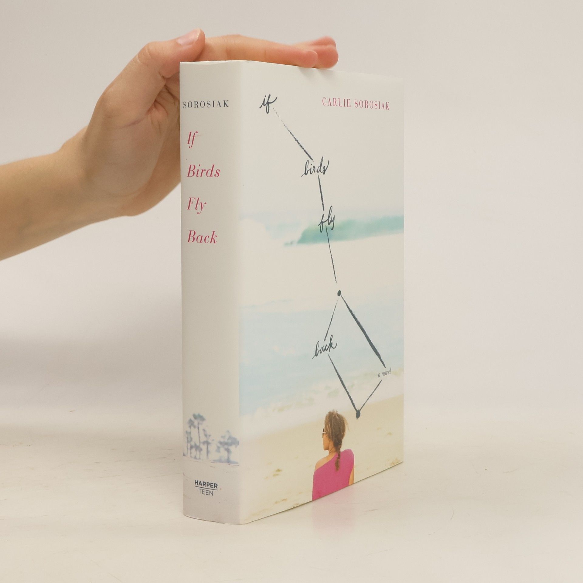 Carlie Sorosiak If Birds Fly Back