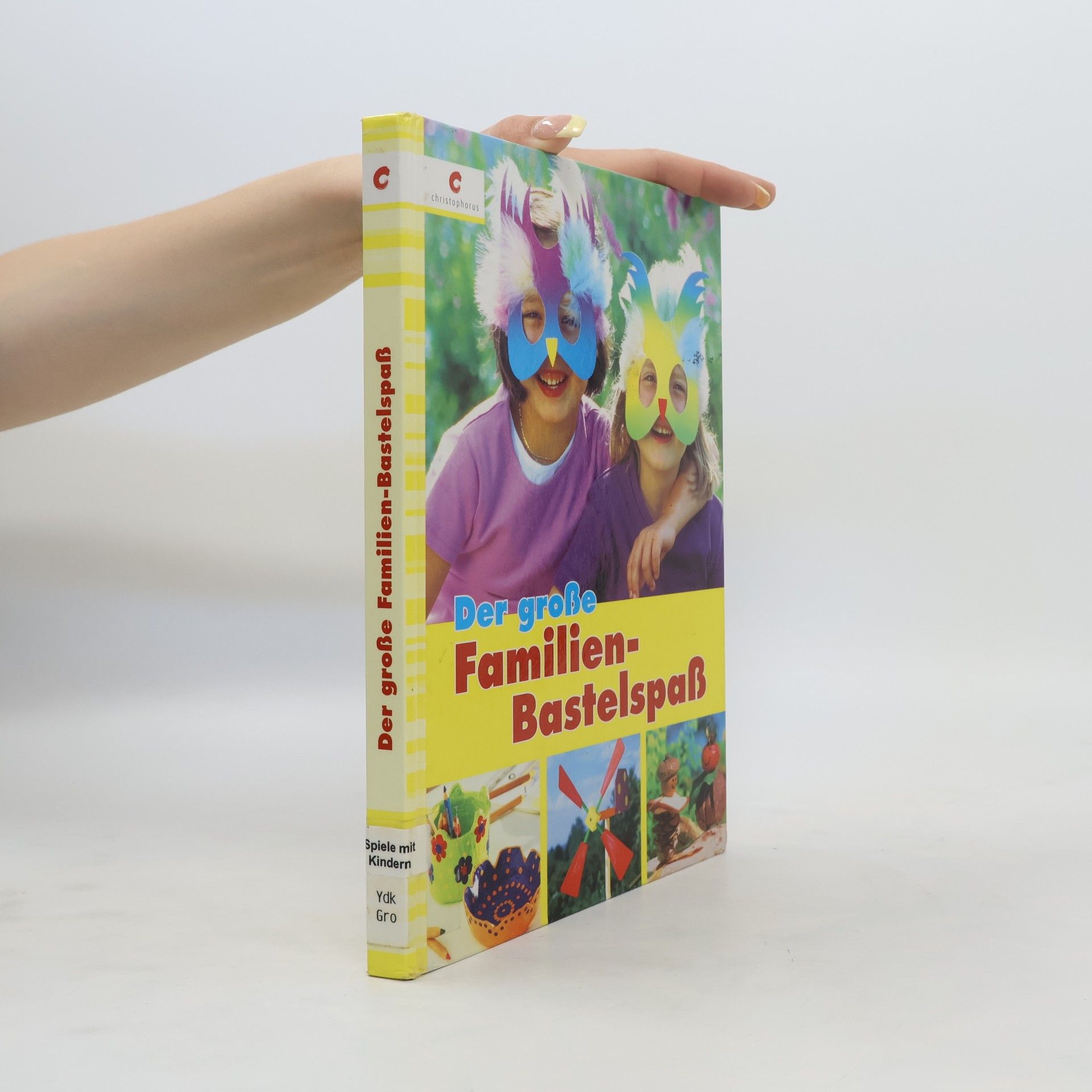 Autorenkollektiv Der große Familienbastelspaß
