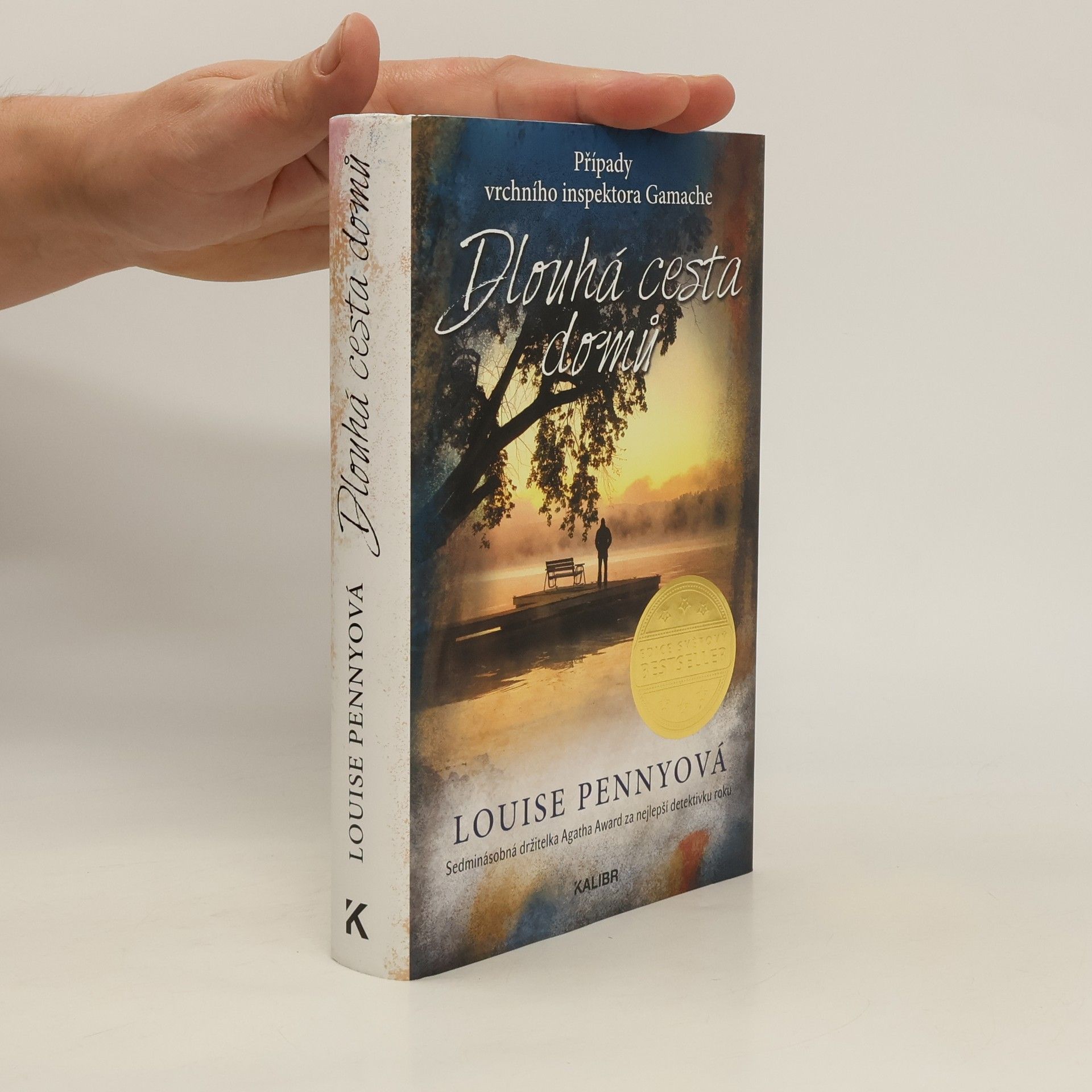 Louise Penny Dlouhá cesta domů