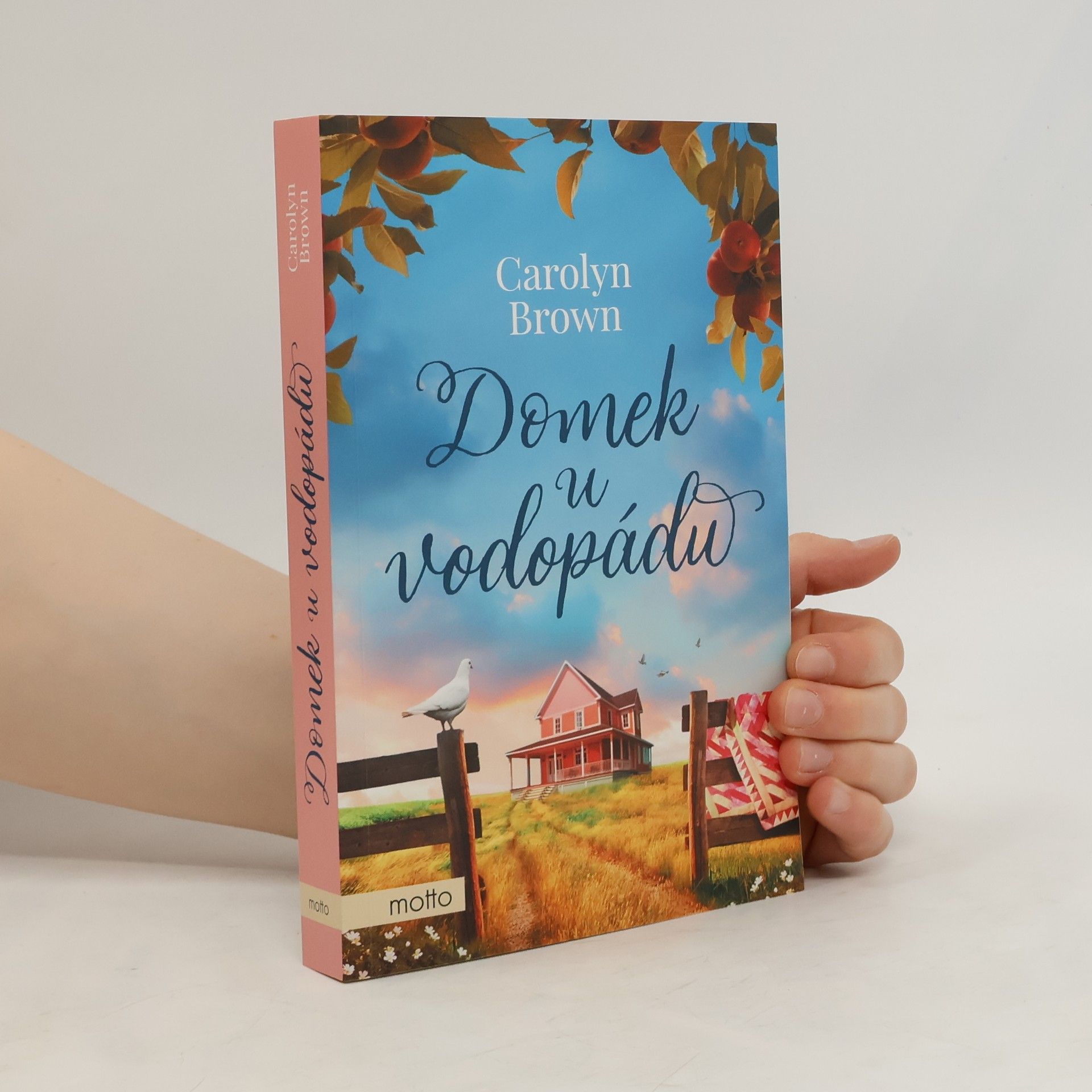 Carolyn Brown Domek u vodopádu