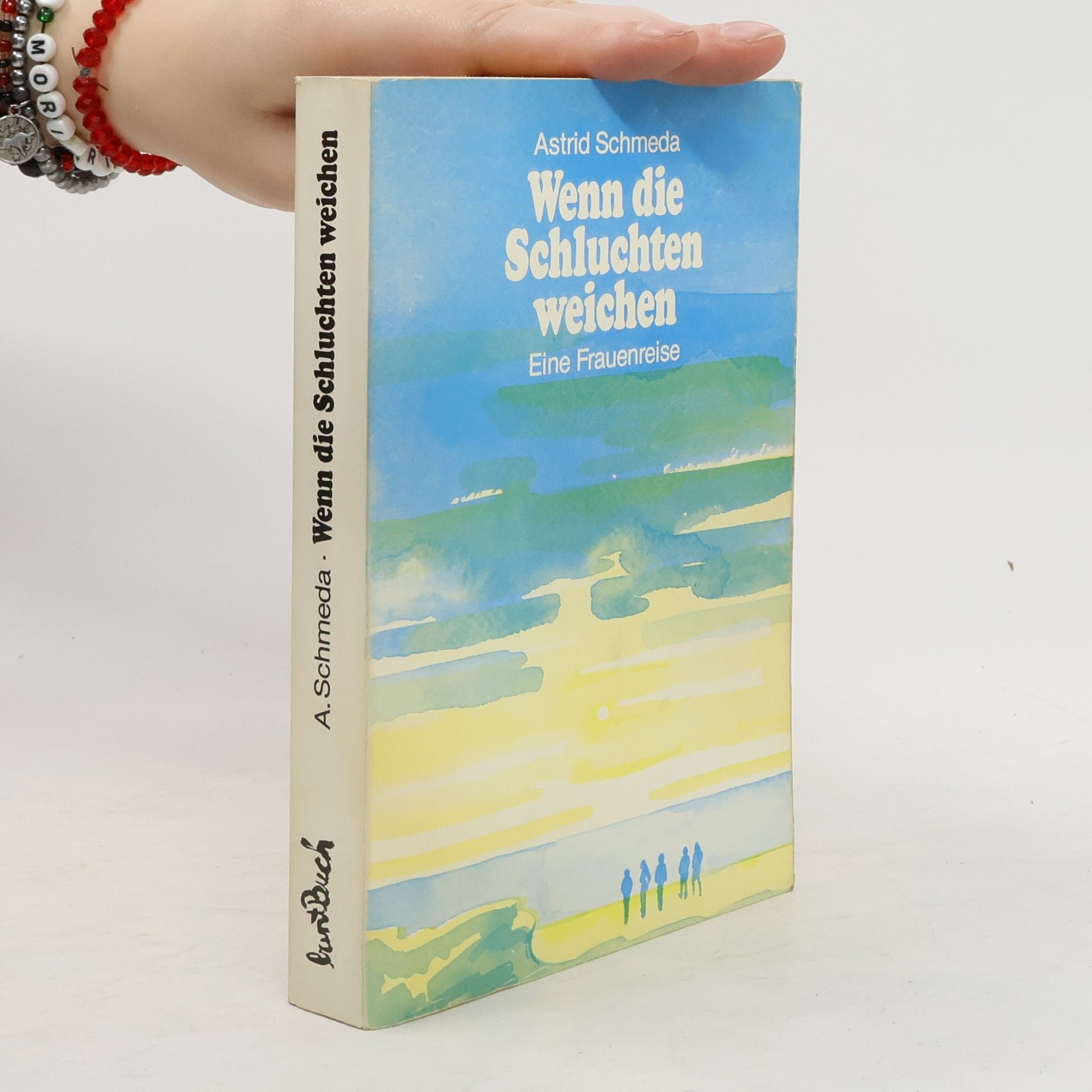 Astrid Schmeda Wenn die Schluchten weichen