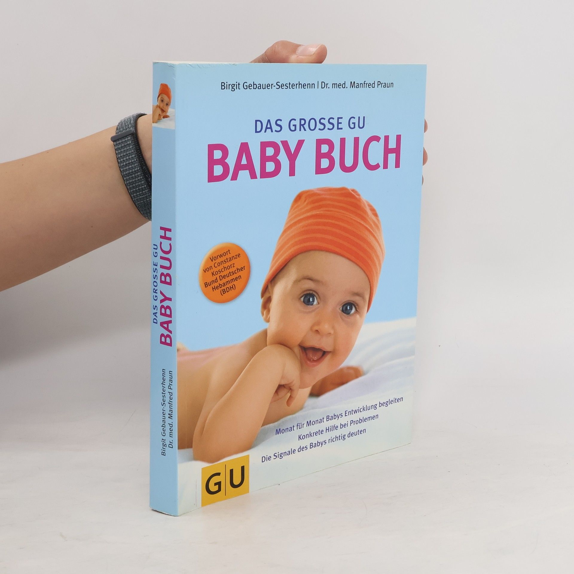Autorenkollektiv Das große GU Babybuch