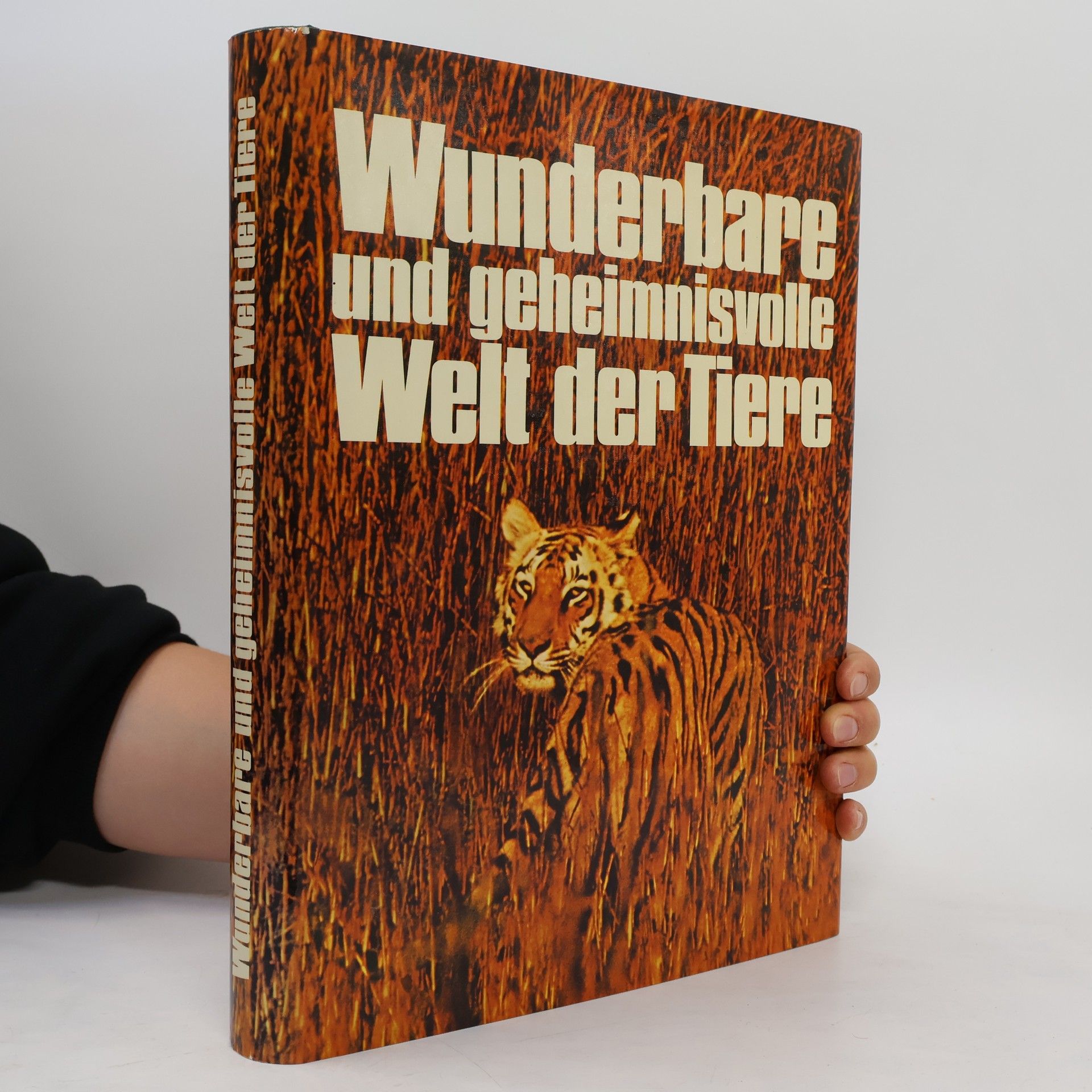 Helga Menzel Tettenborn Wunderbare und geheimnisvolle Welt der Tiere