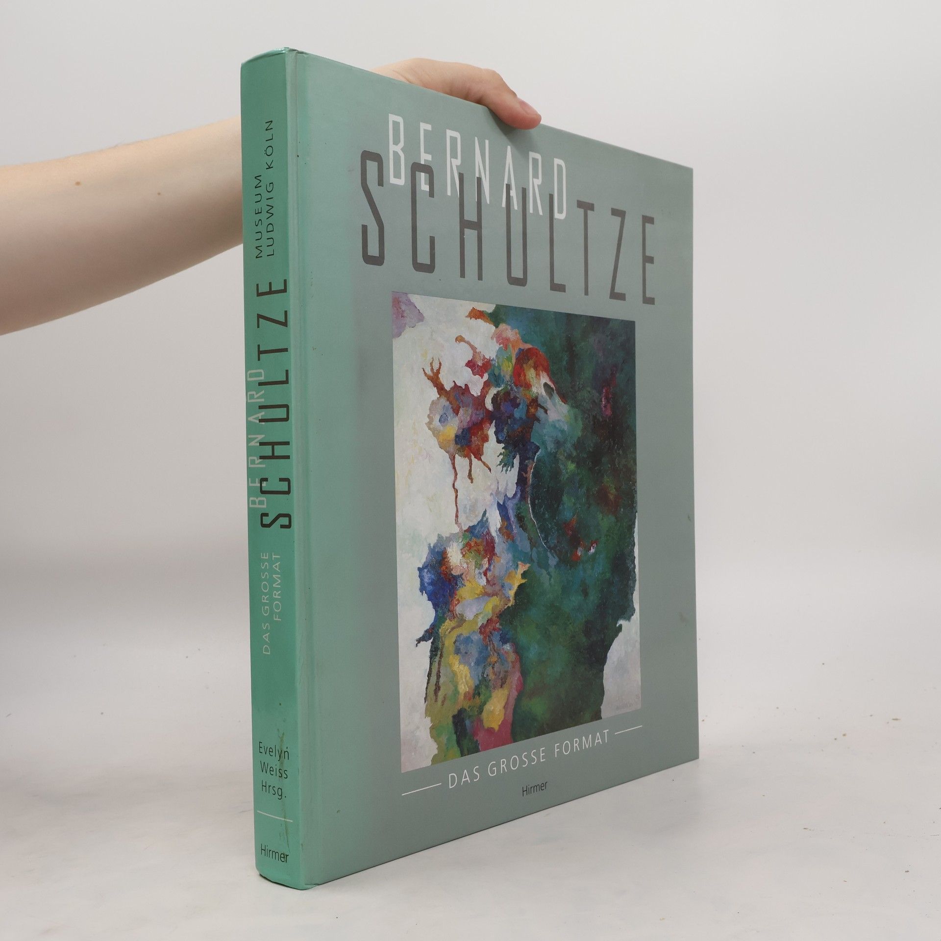 Evelyn Weiss Bernard Schultze, das grosse Format