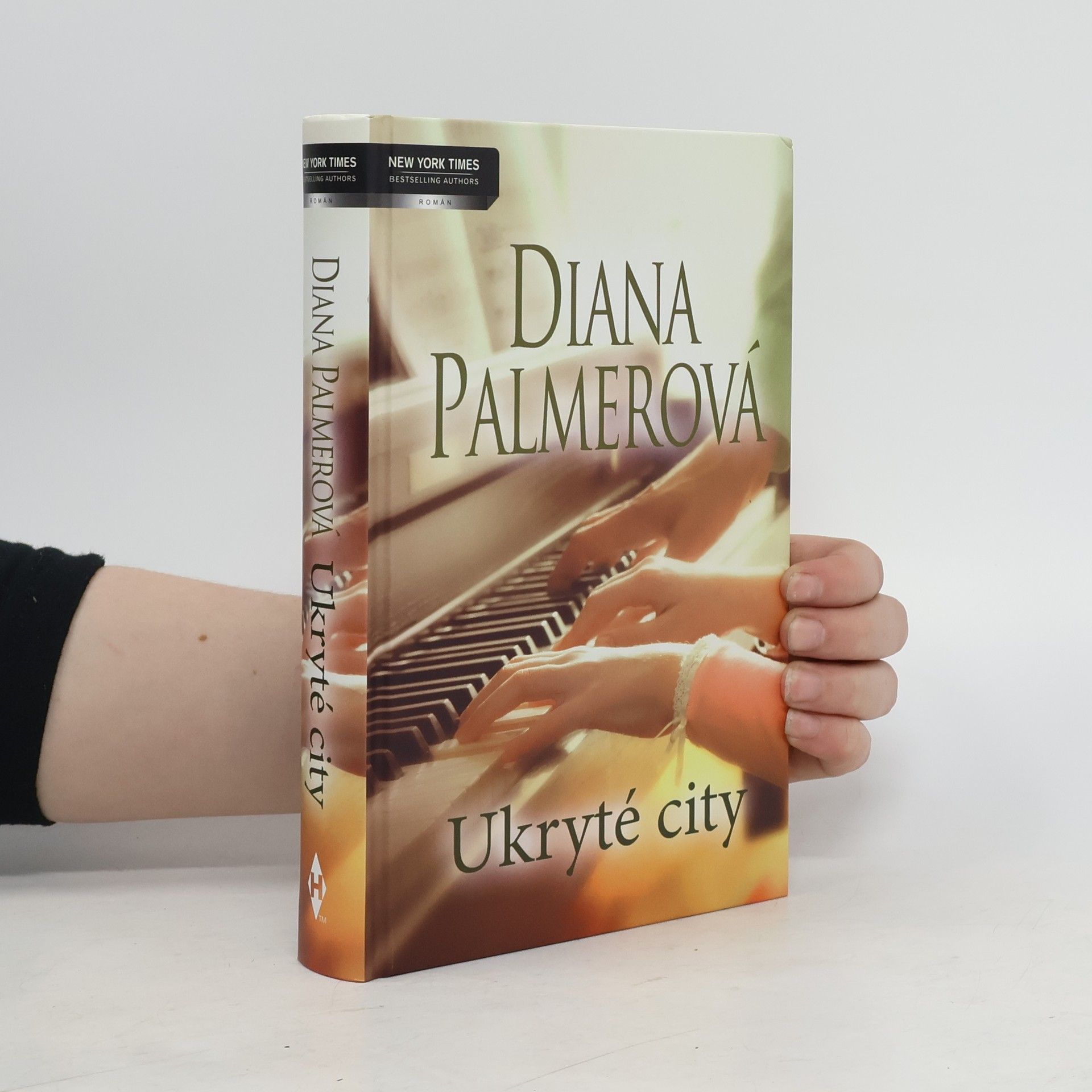 Diana Palmer Ukryté city