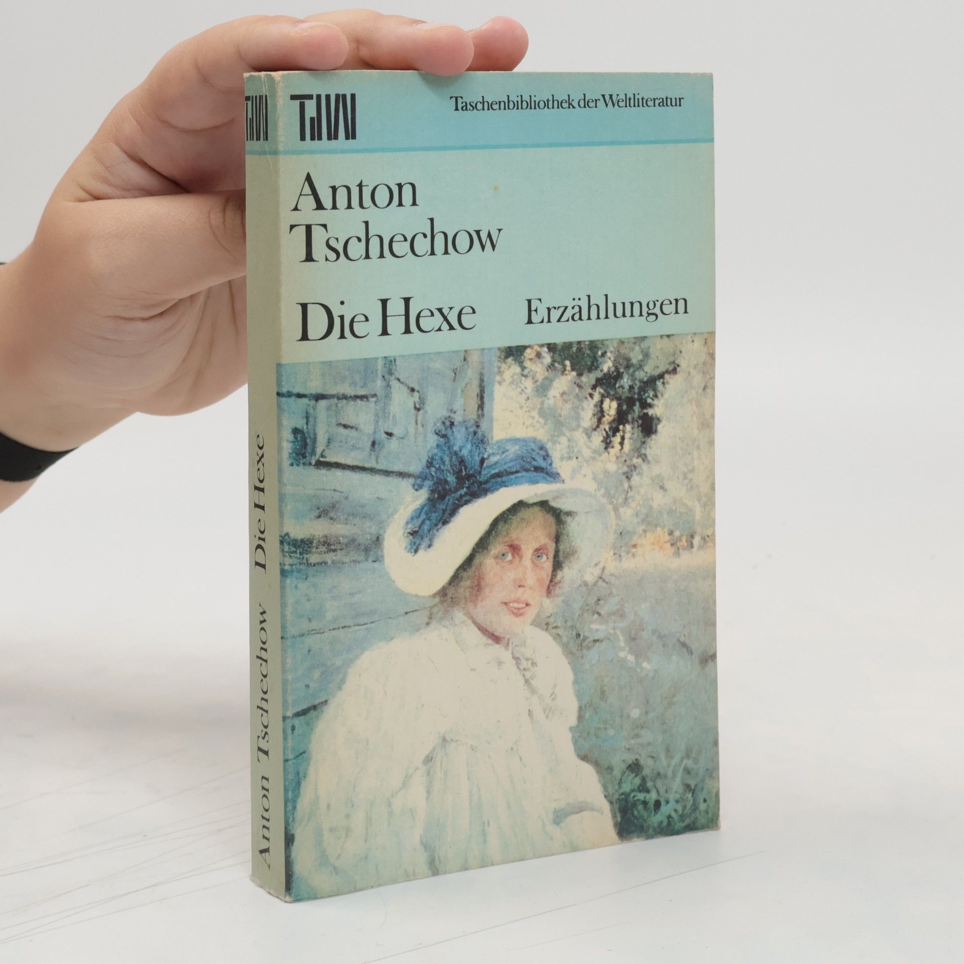 Anton Pavlovič Čechov Die Hexe