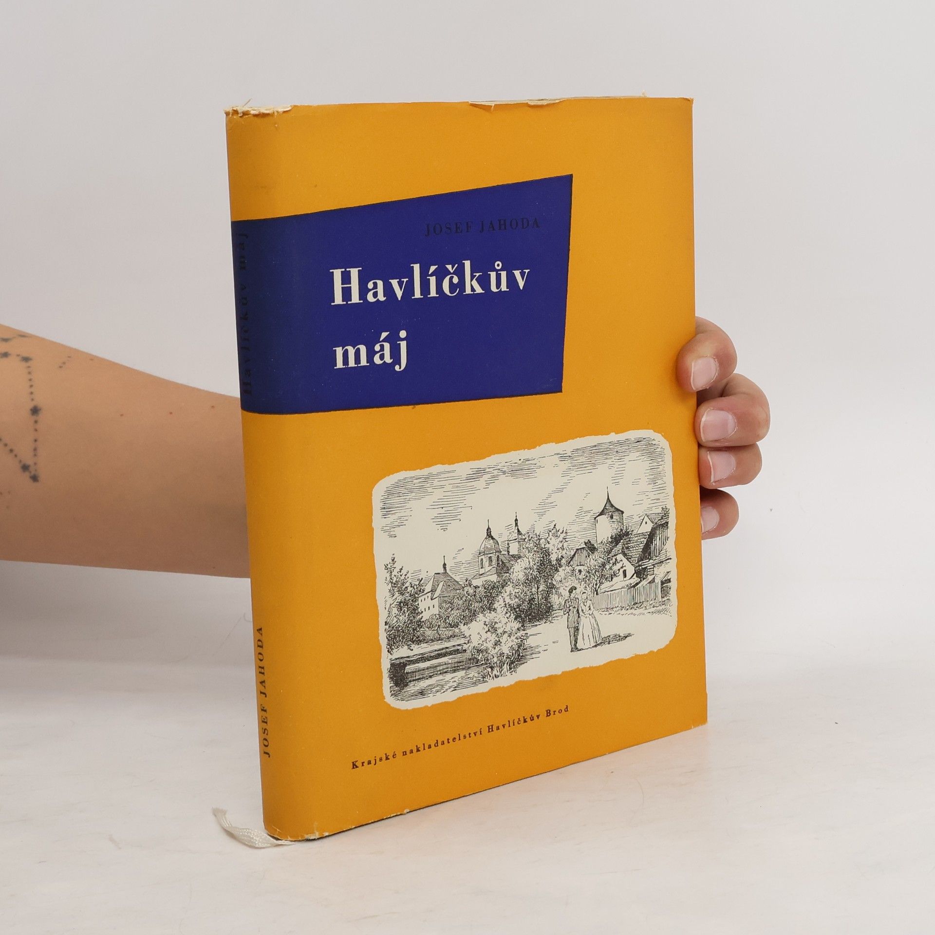 Josef Jahoda Havlíčkův máj